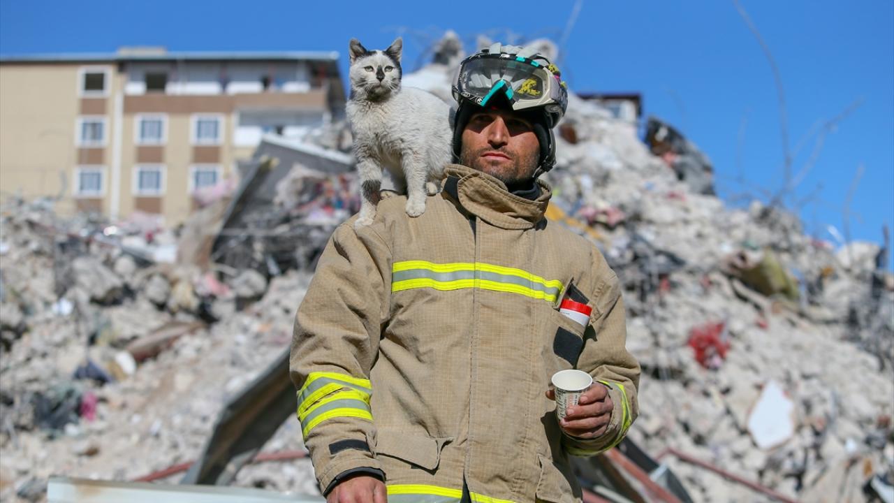 Göçükten çıkarılarak "Enkaz" adı verilen kedi, arama kurtarma ekibinin maskotu oldu 1