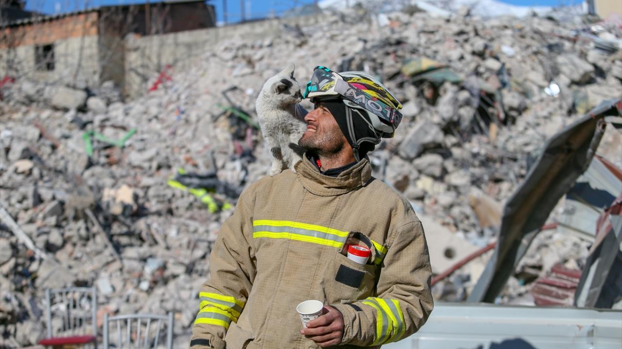 Göçükten çıkarılarak "Enkaz" adı verilen kedi, arama kurtarma ekibinin maskotu oldu 6