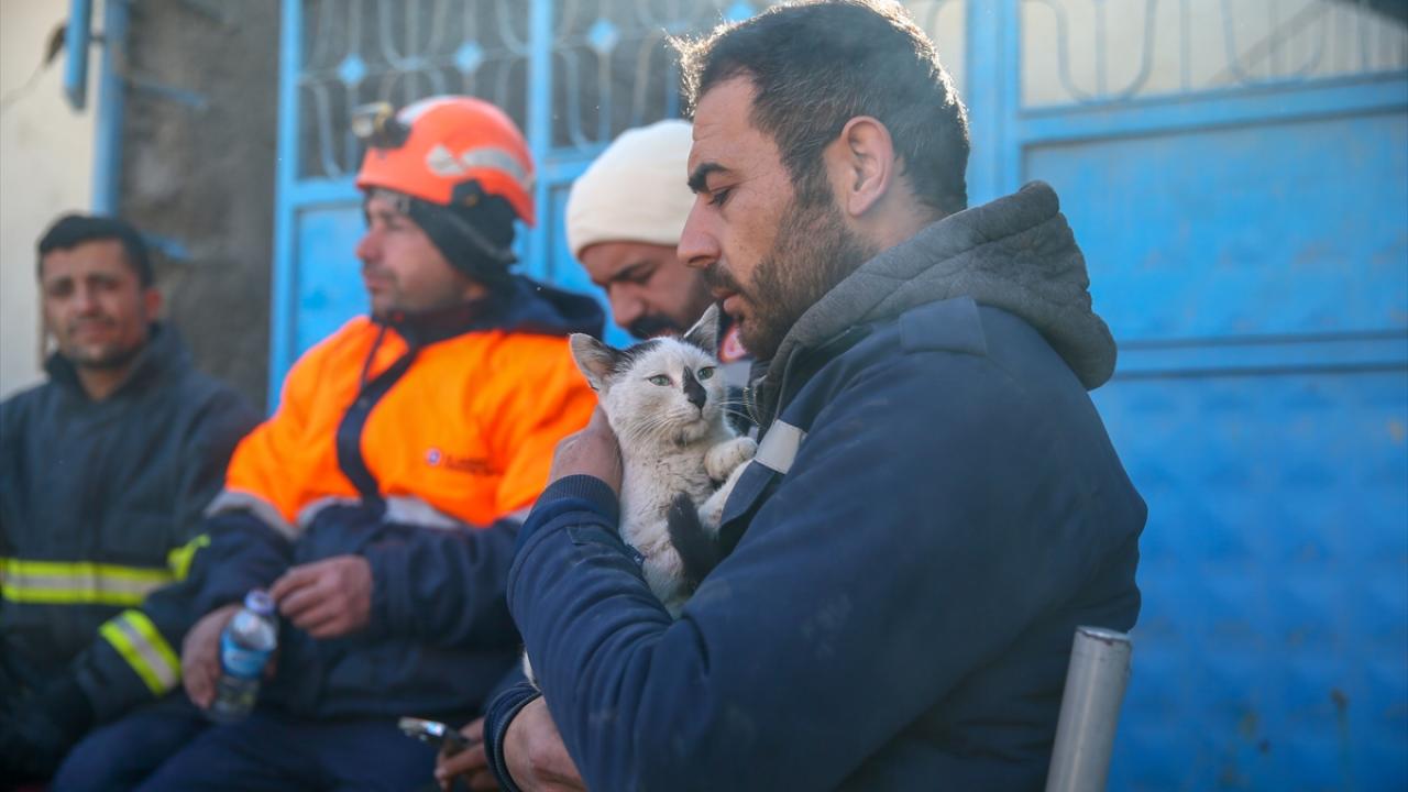 Göçükten çıkarılarak "Enkaz" adı verilen kedi, arama kurtarma ekibinin maskotu oldu 4