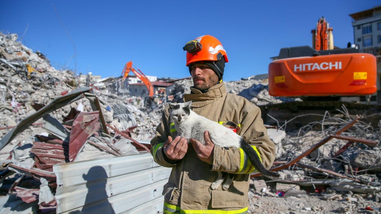 Göçükten çıkarılarak "Enkaz" adı verilen kedi, arama kurtarma ekibinin maskotu oldu 3