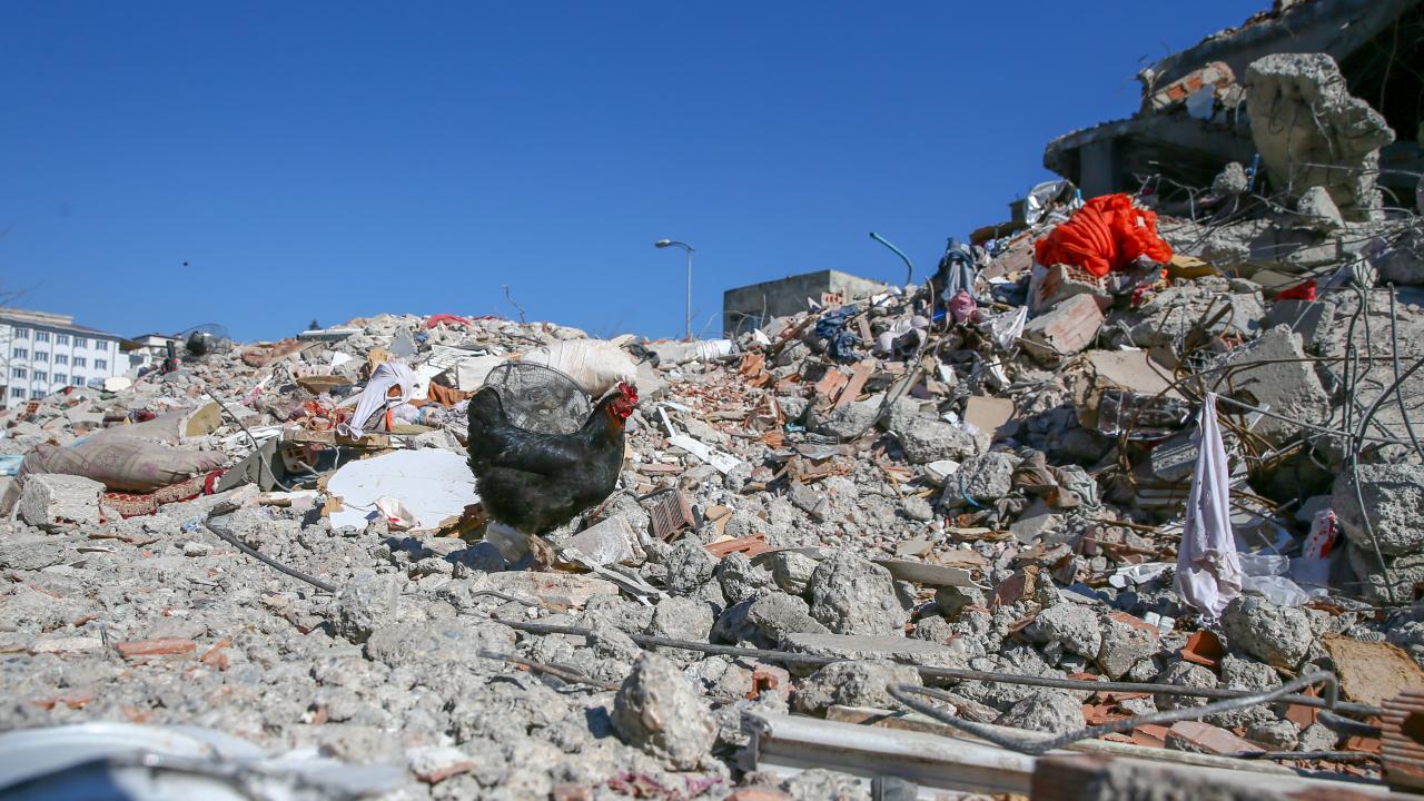 Nurdağı'nda depremlerin acı izleri 9