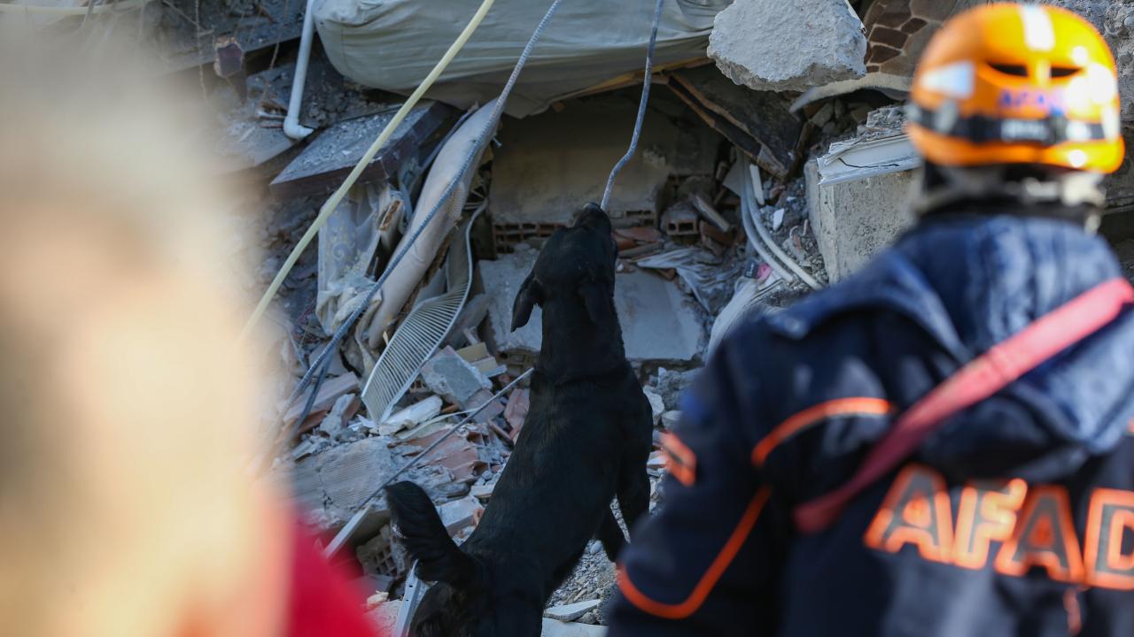 Arama kurtarma köpekleri enkaz altındaki yüzlerce cana umut oldu 6