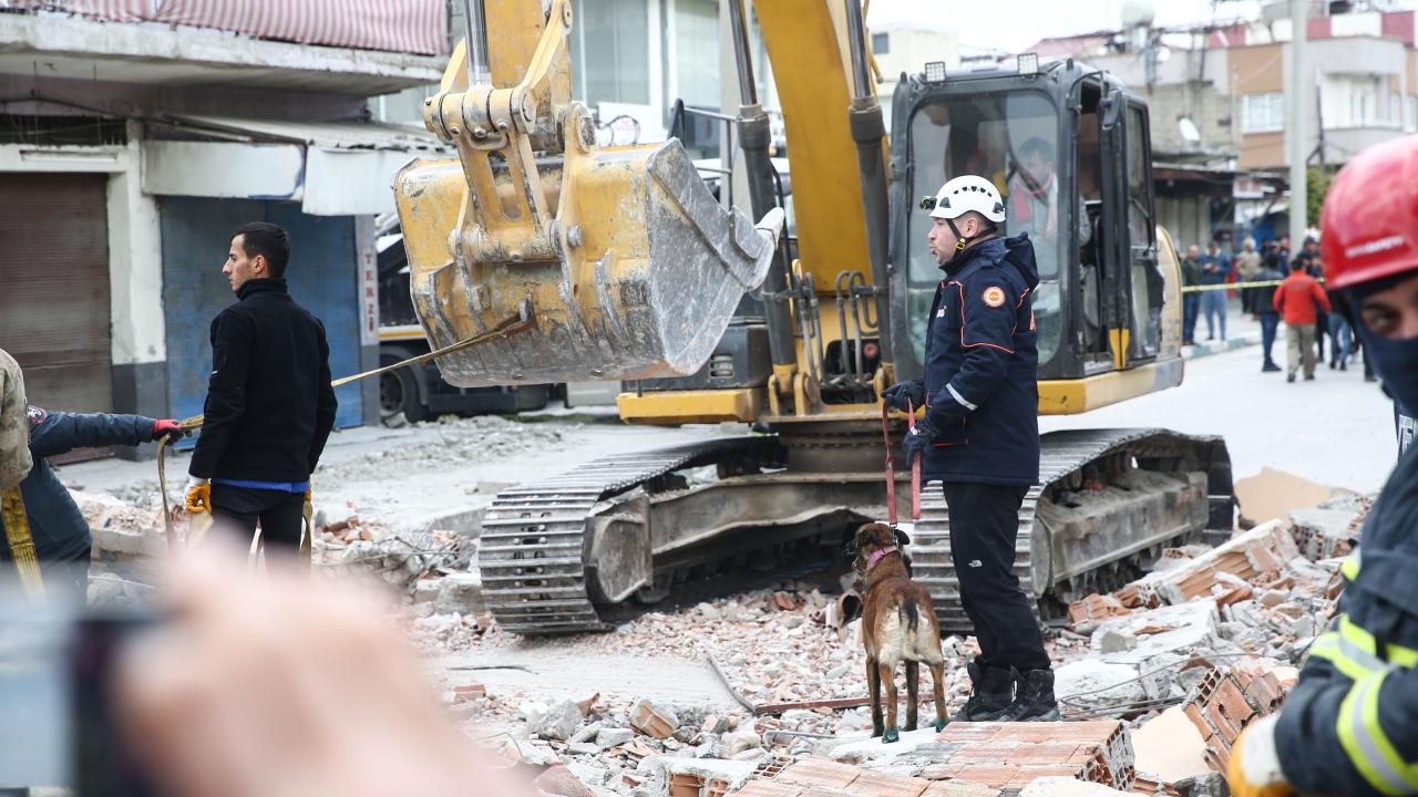 Arama kurtarma köpekleri enkaz altındaki yüzlerce cana umut oldu 14
