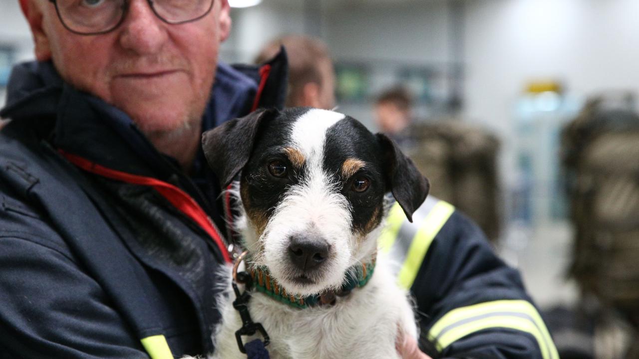 Arama kurtarma köpekleri enkaz altındaki yüzlerce cana umut oldu 9