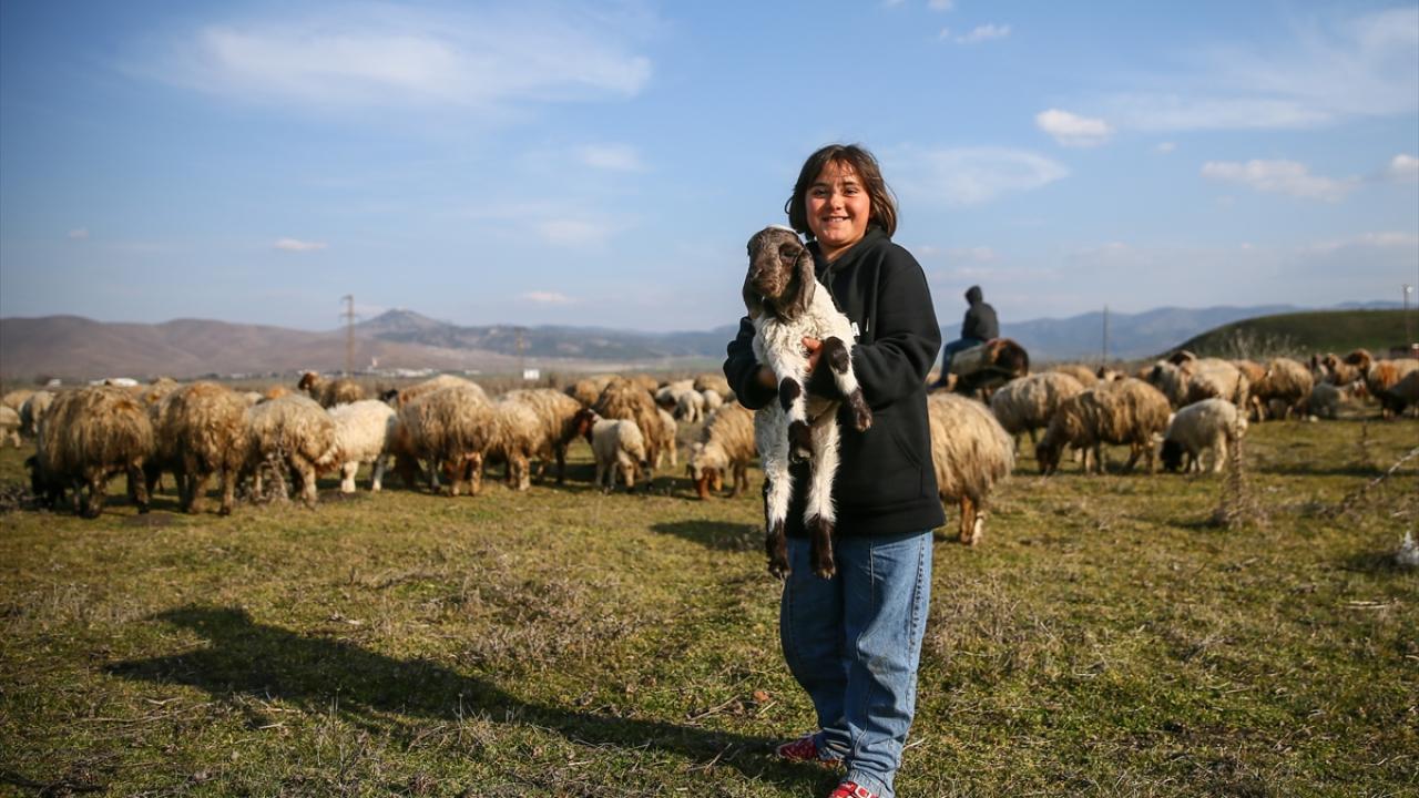 Ailelerinden sadece o kaldı… Baba emaneti koyun sürüsüyle avunuyorlar 9
