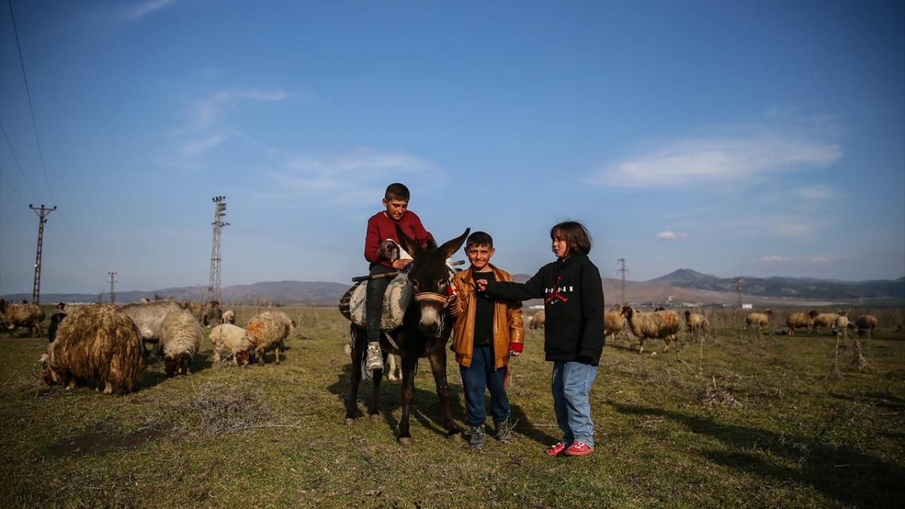 Ailelerinden sadece o kaldı… Baba emaneti koyun sürüsüyle avunuyorlar 8