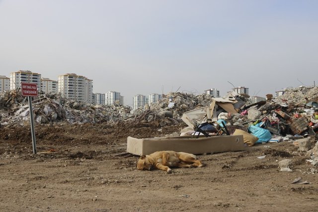 Binalar gitti, tabelalar geldi! Diyarbakır'da içler acısı görüntü... 5