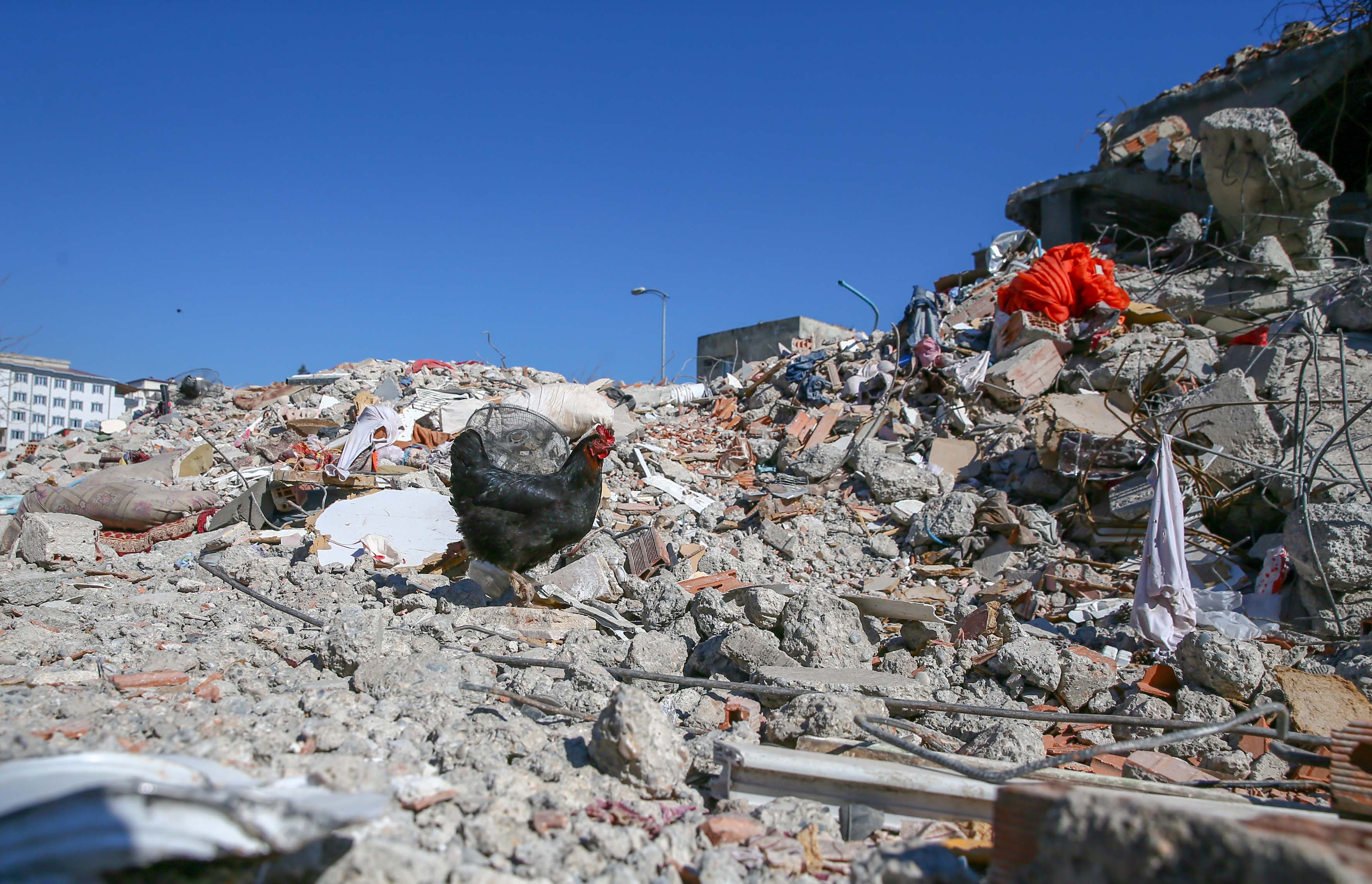 Nurdağı'nda depremin acı izleri fotoğraf karelerinde 1