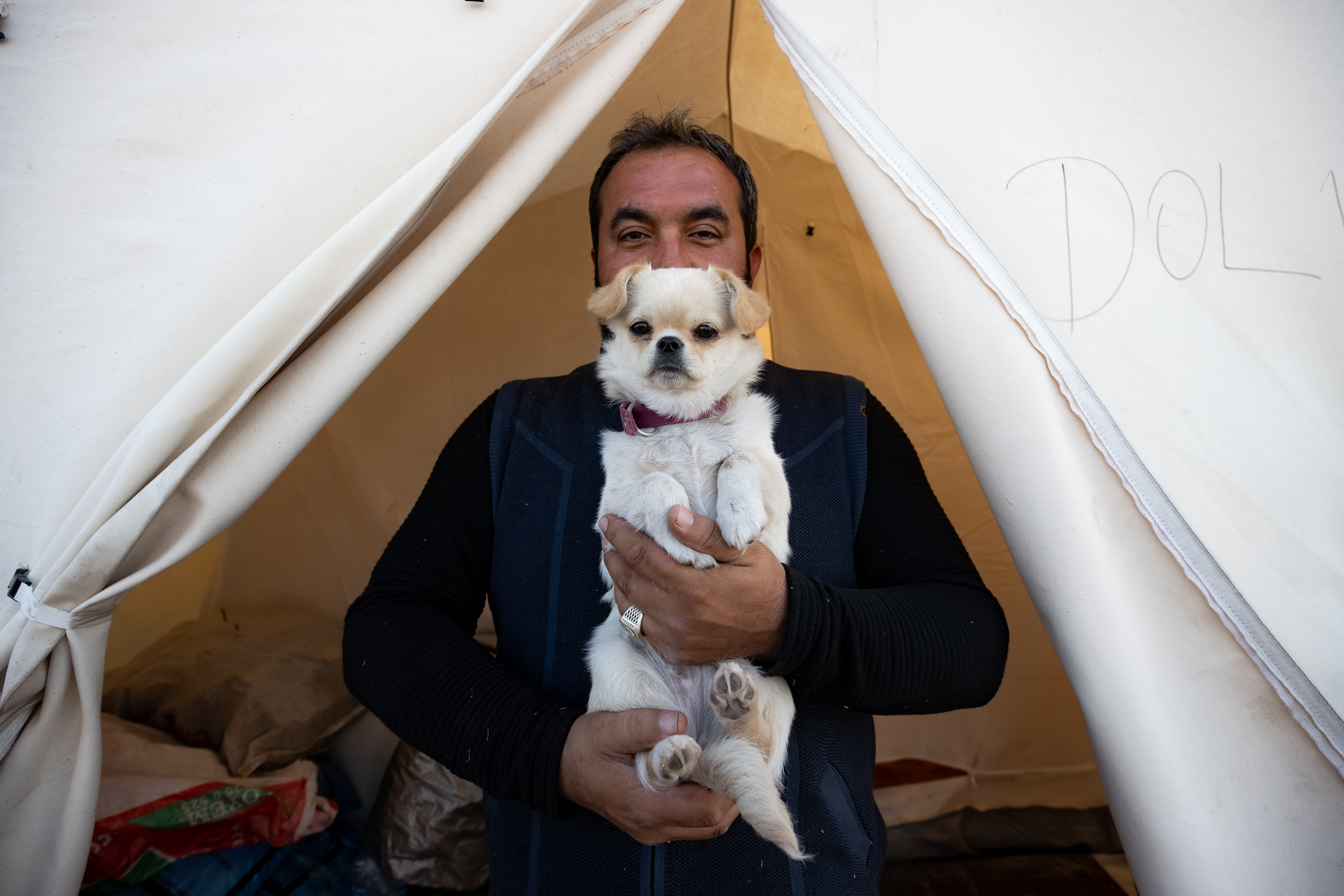 Kedi, köpek hatta keklik... Onlar çadır kentin "can dostları" 2