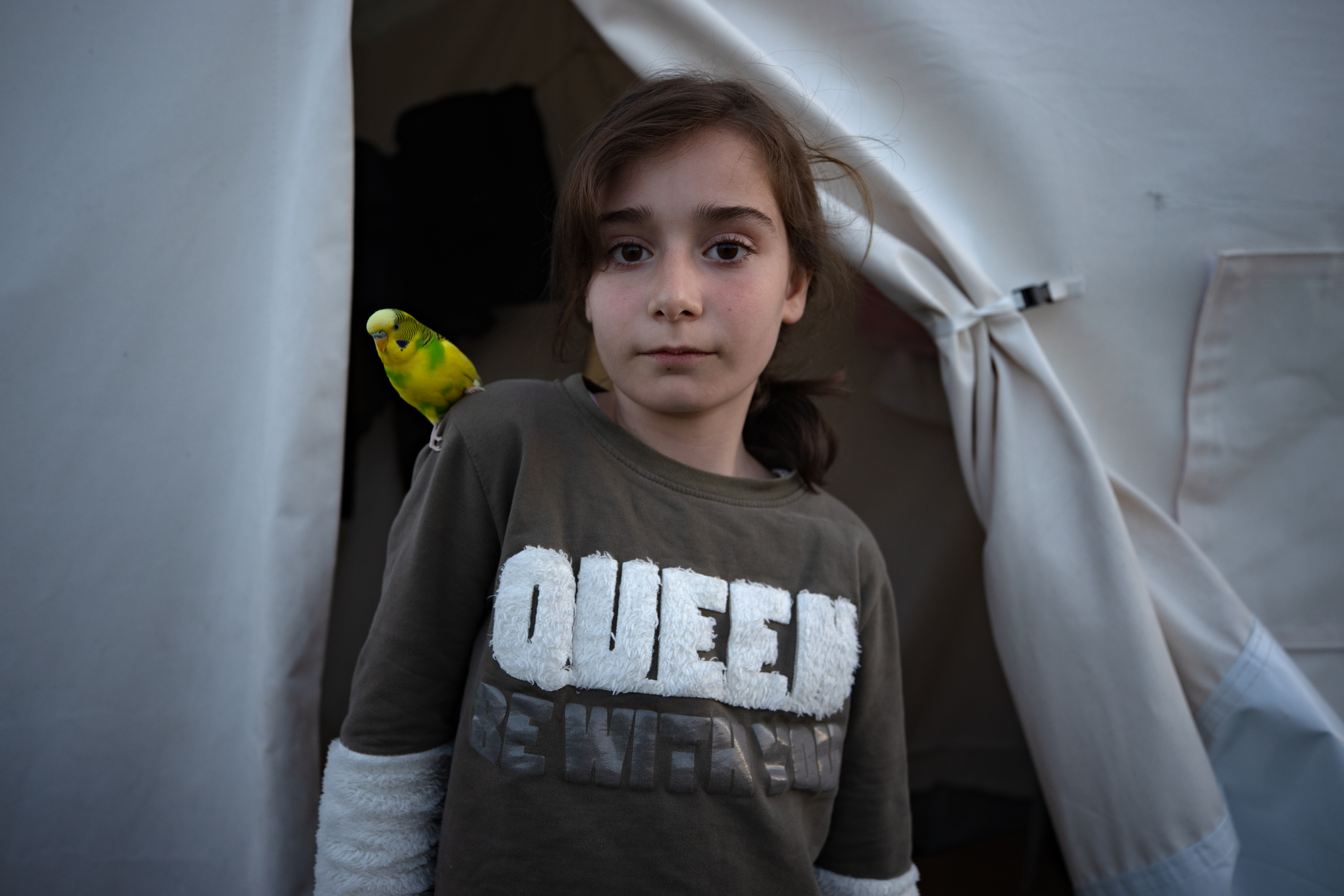 Kedi, köpek hatta keklik... Onlar çadır kentin "can dostları" 4