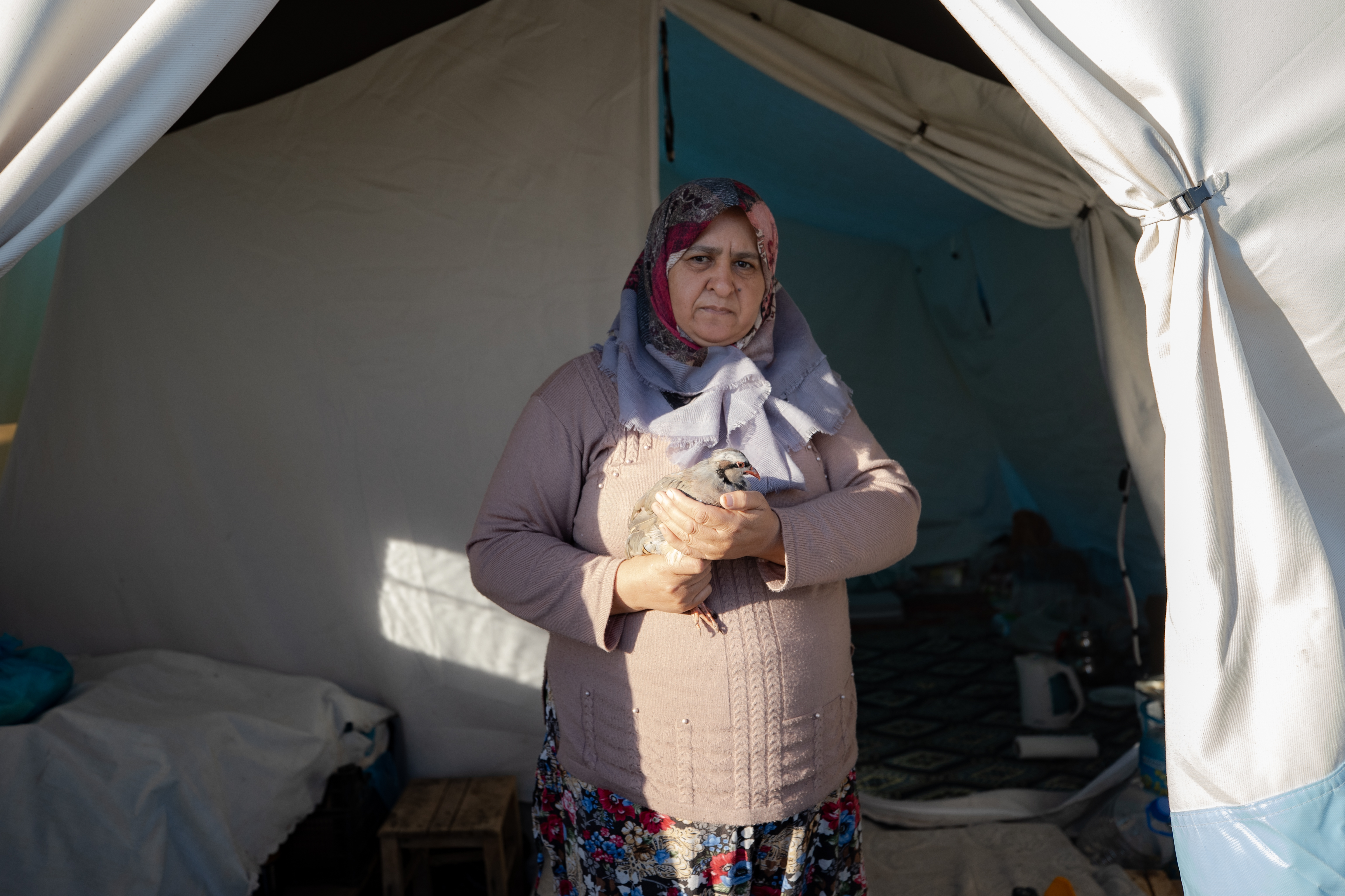 Kedi, köpek hatta keklik... Onlar çadır kentin "can dostları" 5
