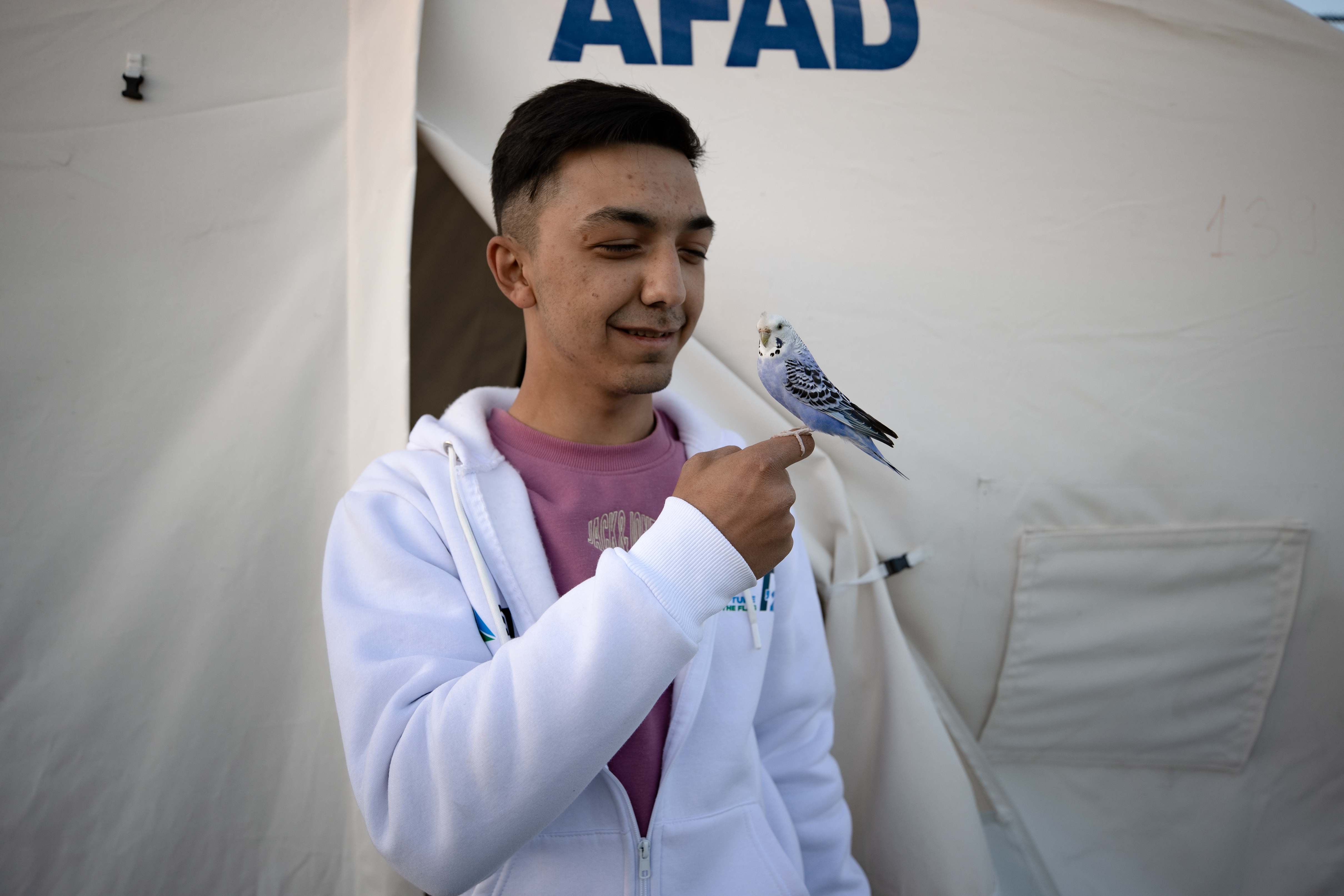 Kedi, köpek hatta keklik... Onlar çadır kentin "can dostları" 6