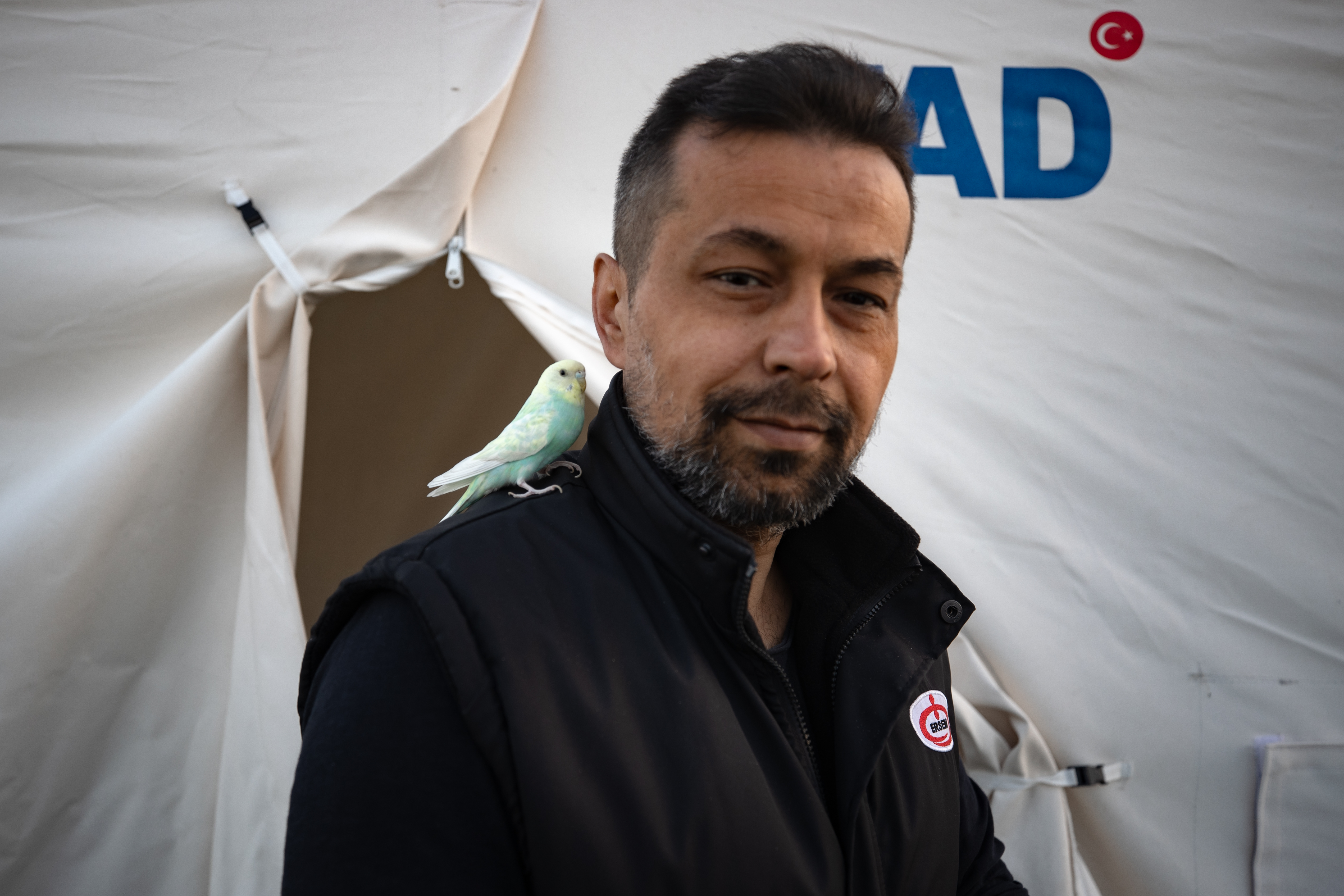 Kedi, köpek hatta keklik... Onlar çadır kentin "can dostları" 7