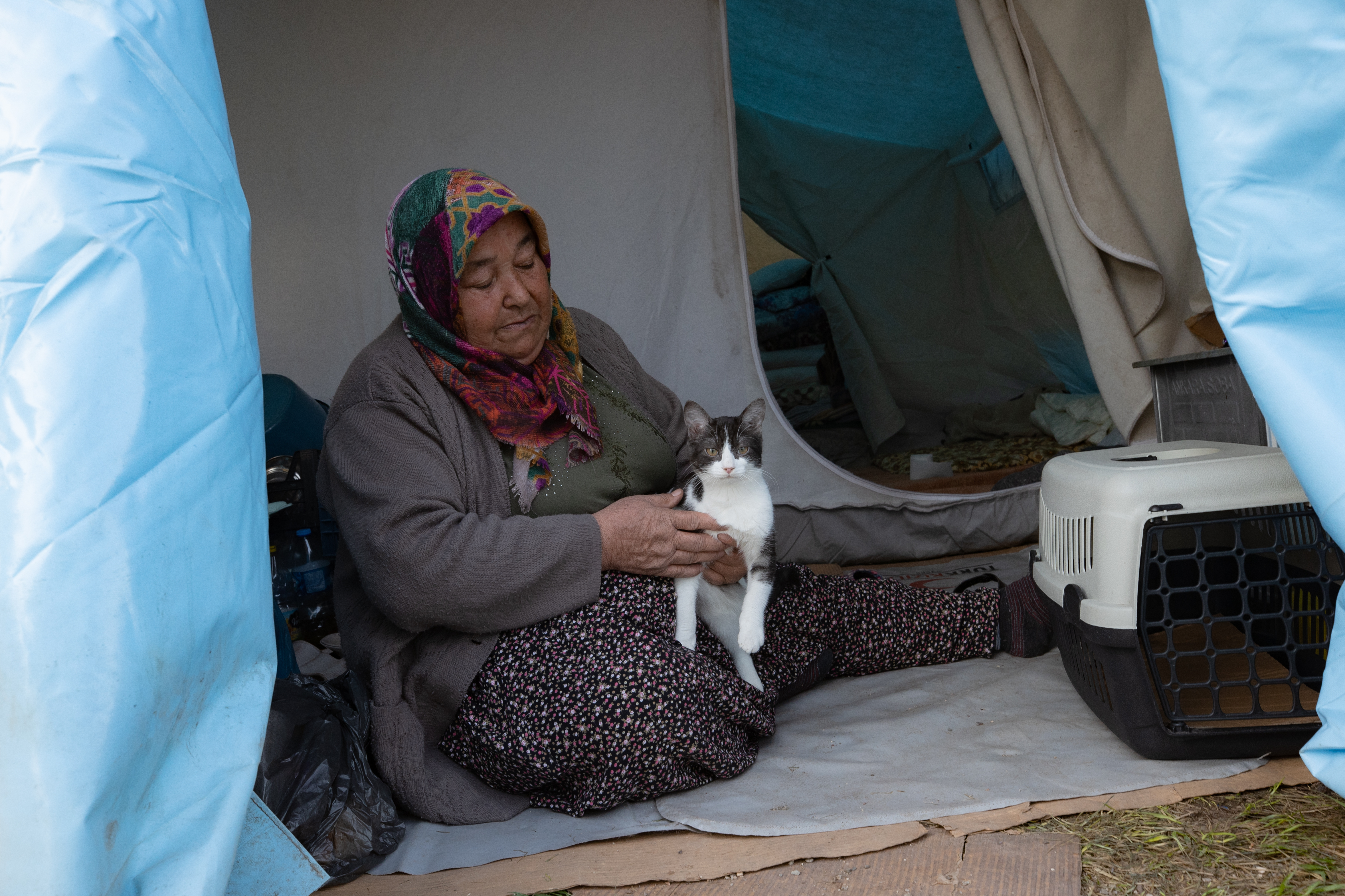 Kedi, köpek hatta keklik... Onlar çadır kentin "can dostları" 8