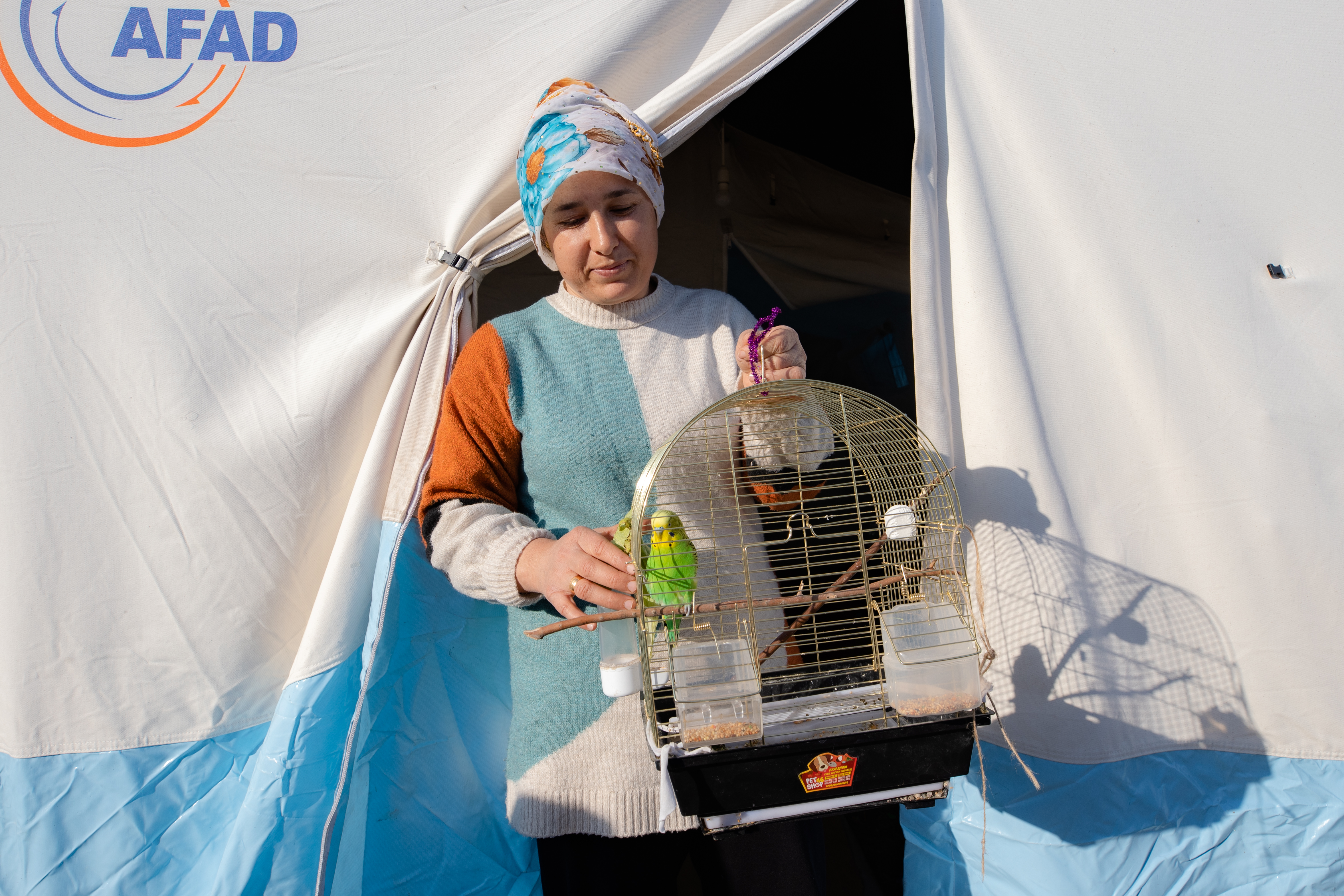 Kedi, köpek hatta keklik... Onlar çadır kentin "can dostları" 9