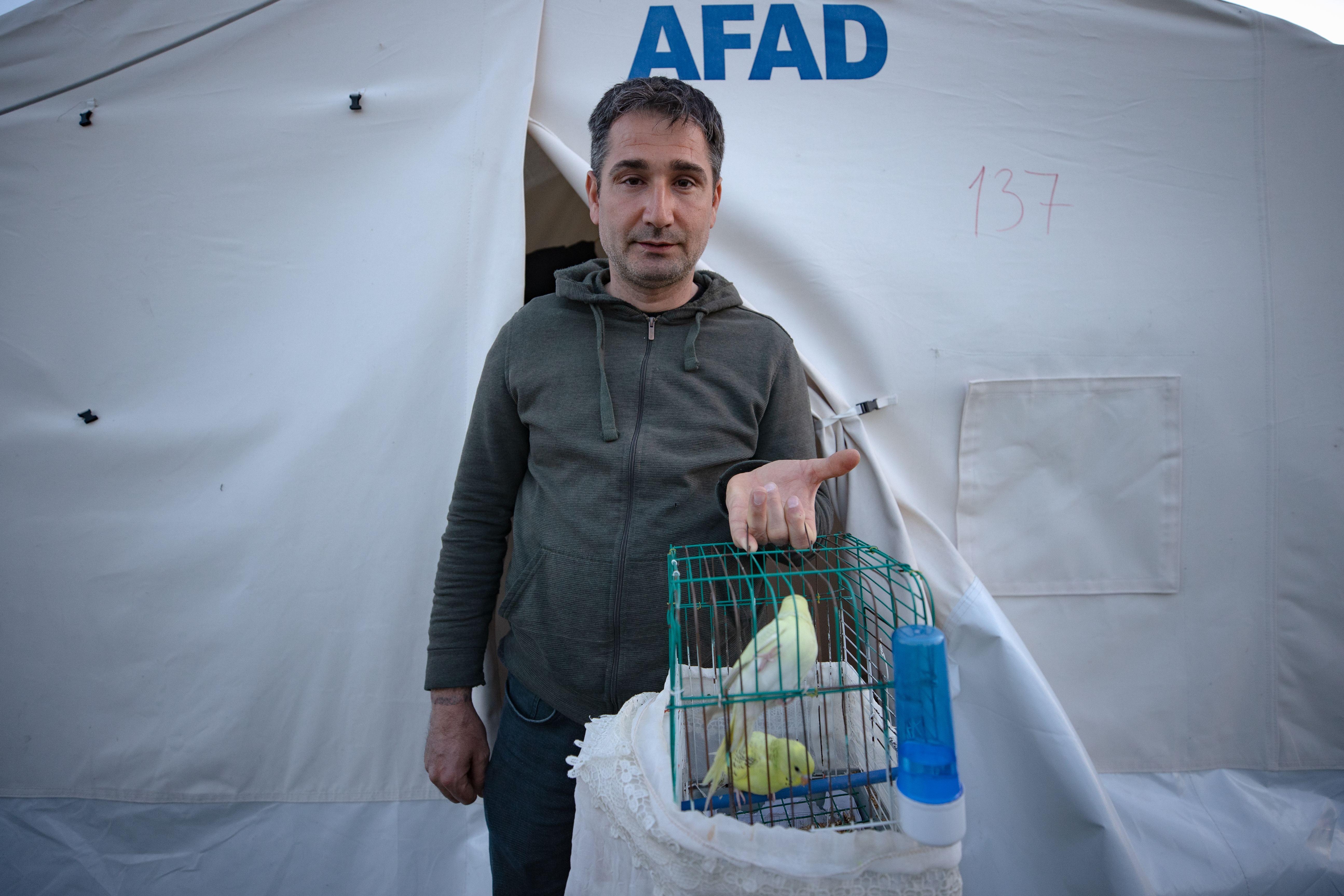 Kedi, köpek hatta keklik... Onlar çadır kentin "can dostları" 10