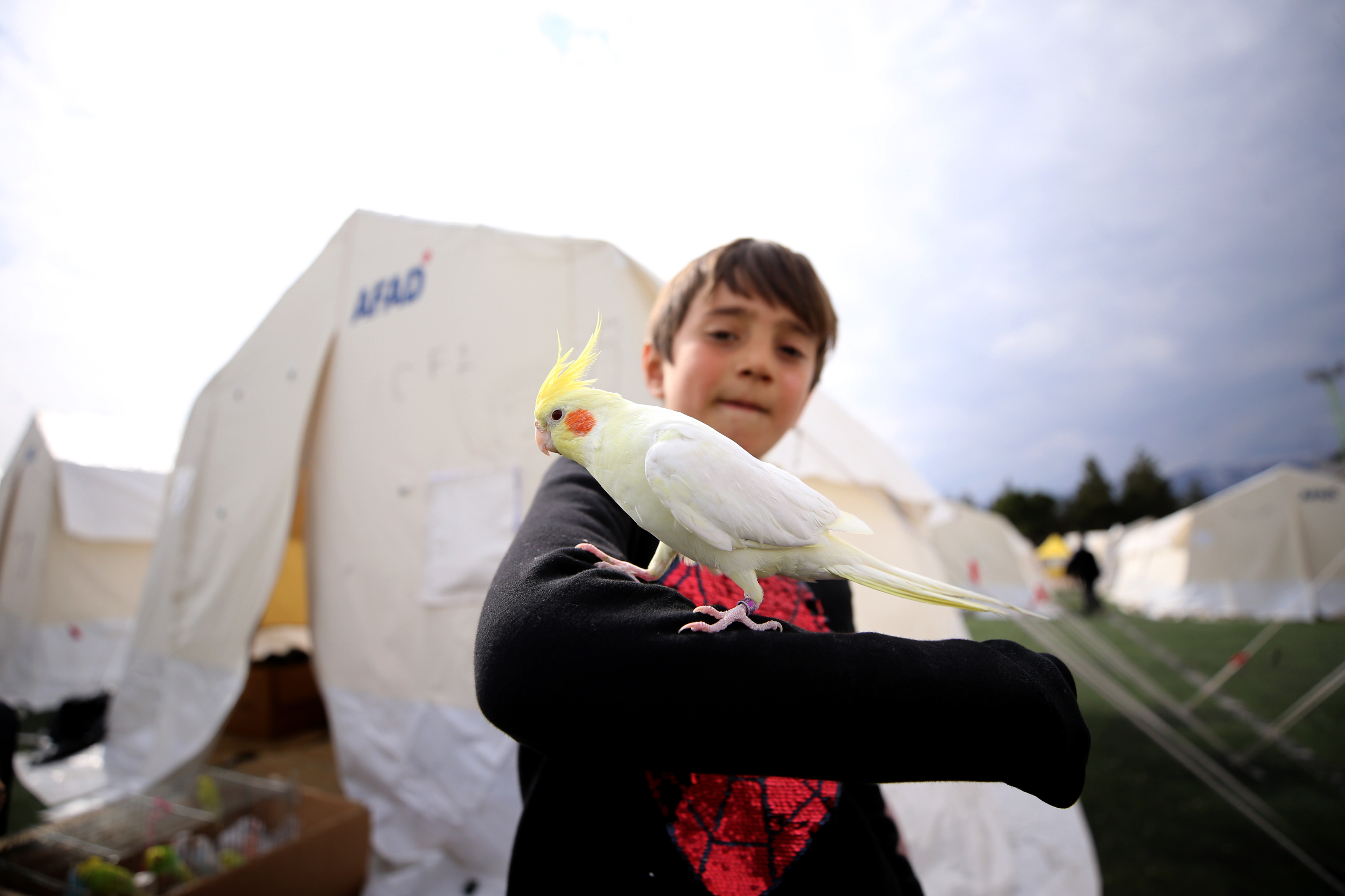 Depremden onların sayesinde kurtuldular, şimdi çadır kentte beraber yaşıyorlar 2
