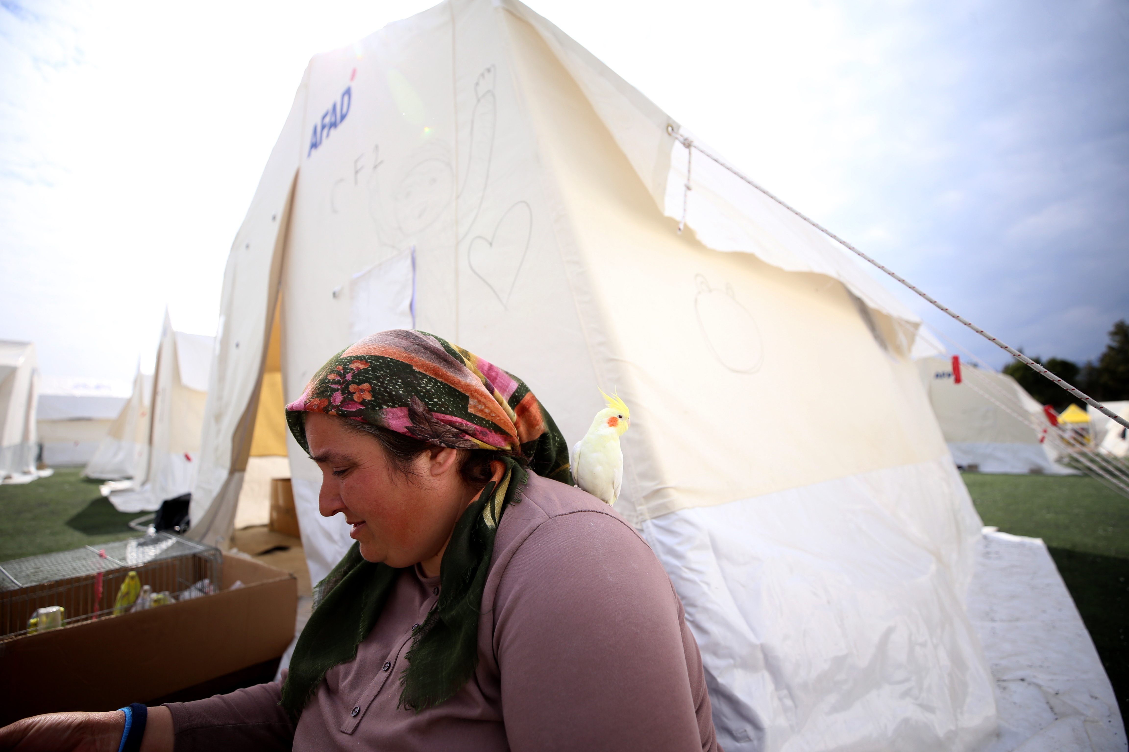 Depremden onların sayesinde kurtuldular, şimdi çadır kentte beraber yaşıyorlar 5