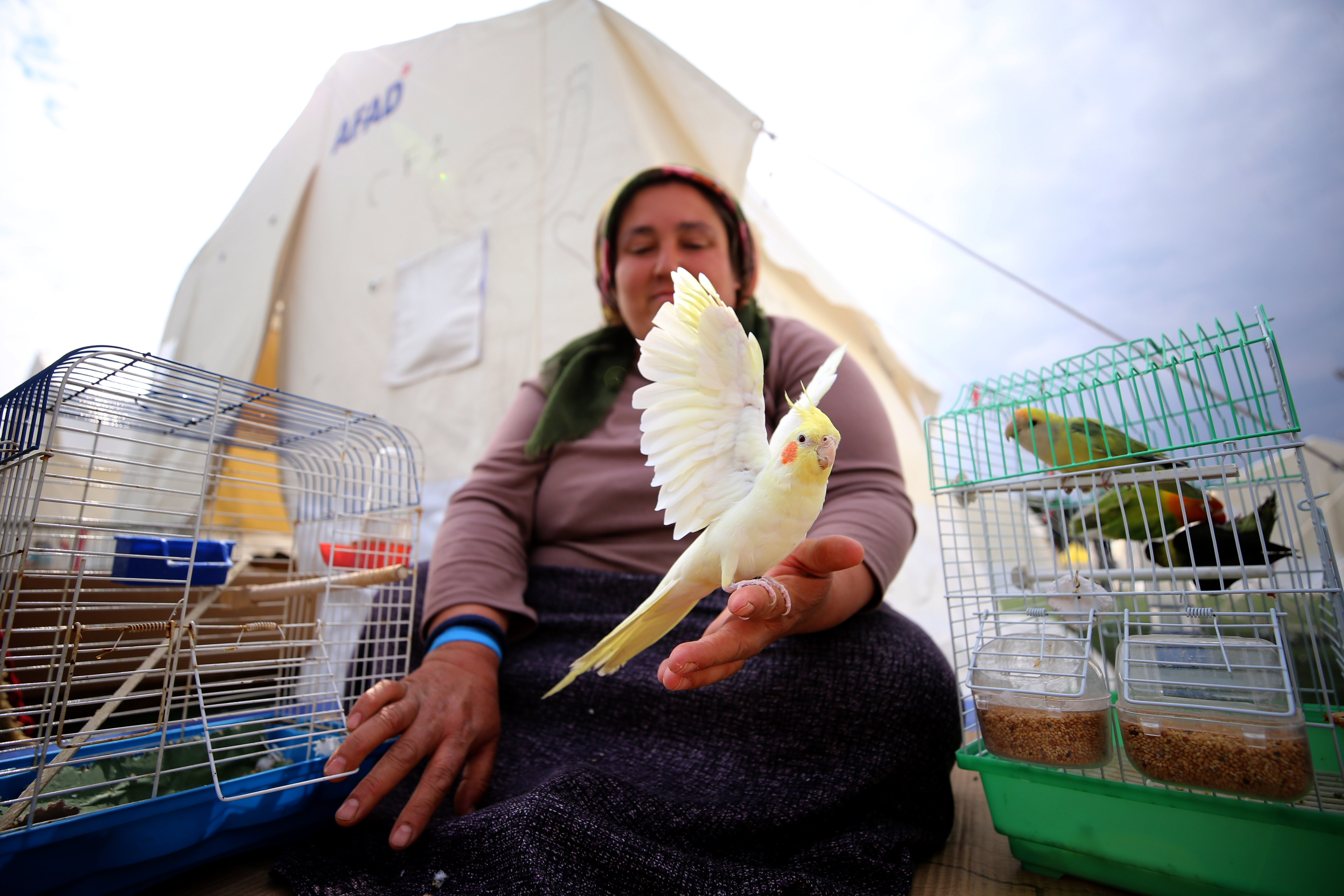 Depremden onların sayesinde kurtuldular, şimdi çadır kentte beraber yaşıyorlar 8