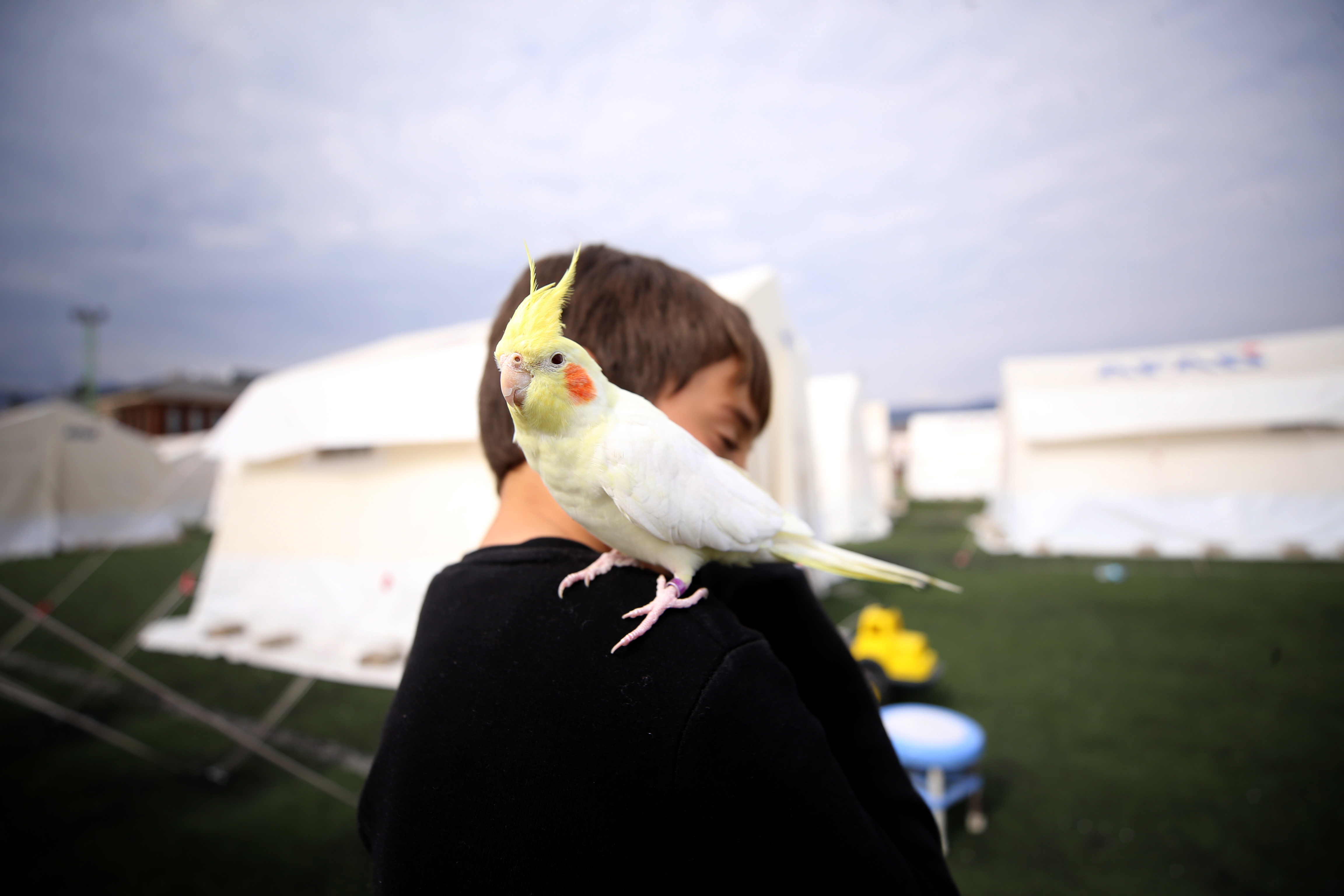 Depremden onların sayesinde kurtuldular, şimdi çadır kentte beraber yaşıyorlar 11