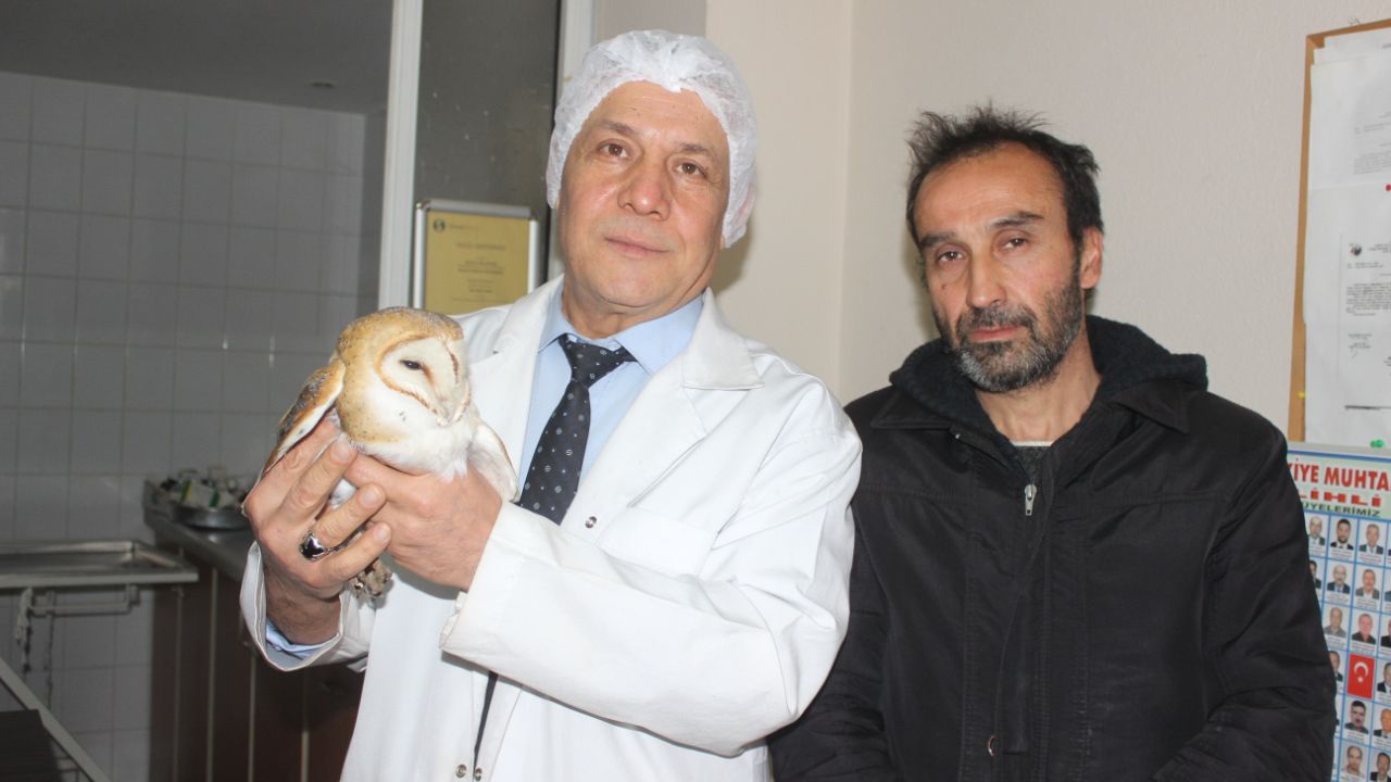 Tarlada çalışırken gördü! Manisa’da ortaya çıktı: Ender görülüyor... 1