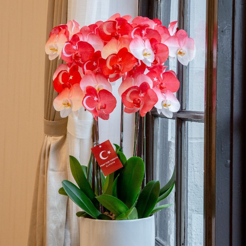 =E.WPQ9GHUtW3EBWDUpWnEFGjEVKnYdKTURW_YdS7YZS_EJa3YVavE1GXYxWLQ9afUFW3EJKXU1KbQ9az