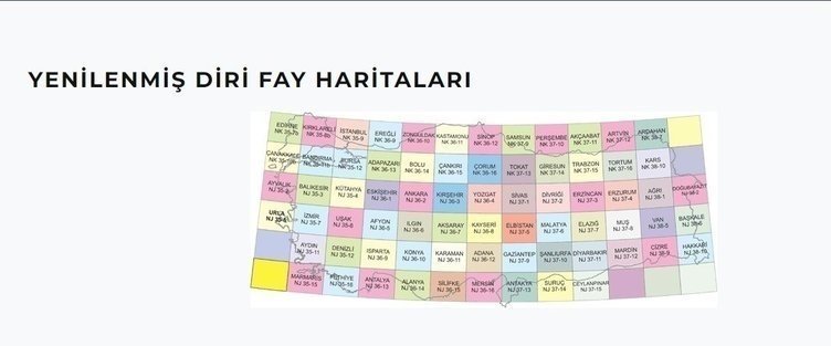 Olası İstanbul depreminde hangi ilçe kaç şiddetinde sarsılacak? Marmara'da en kötü senaryo... 13