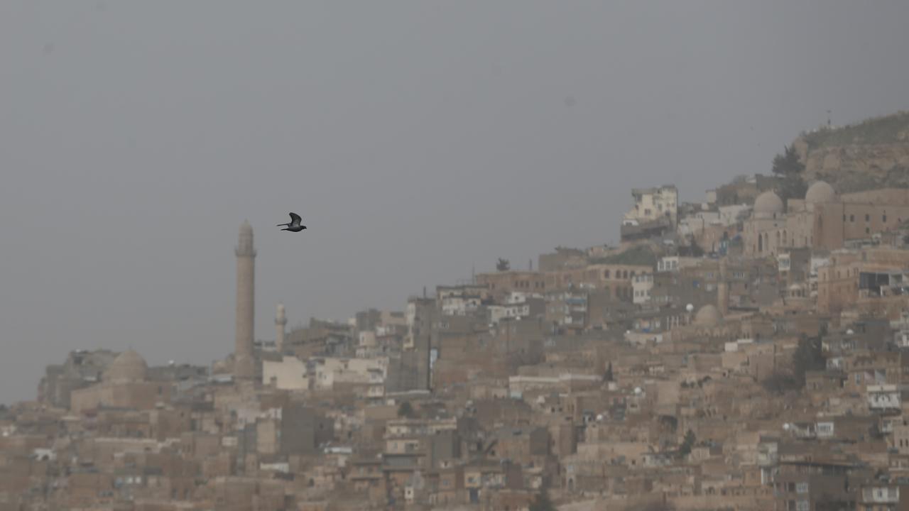 Diyarbakır ve Mardin'de toz taşınımı etkili oldu 5