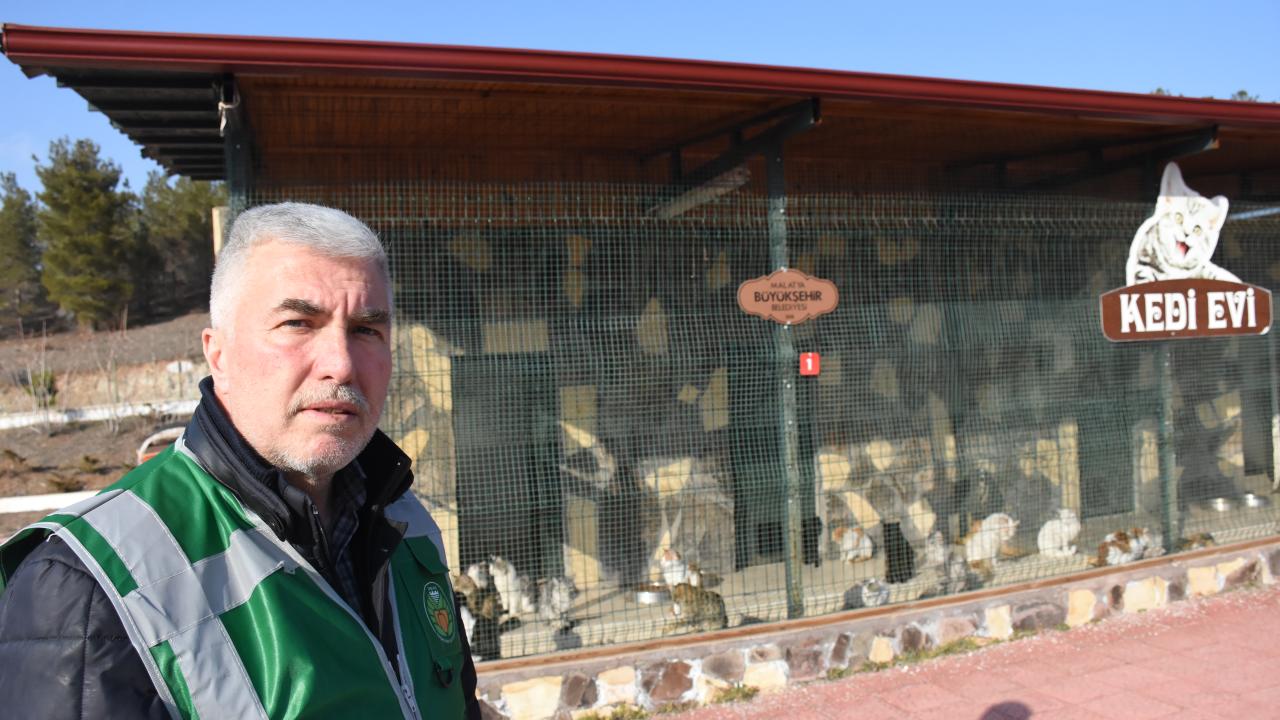 Enkazlardan kurtarılan kedi ve köpekler sahiplerini bekliyor 8