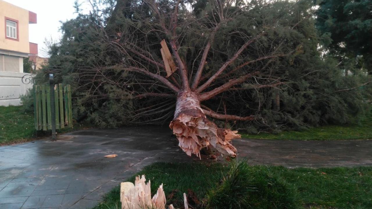 29 ile uyarı: Sağanak ve fırtına geliyor 11