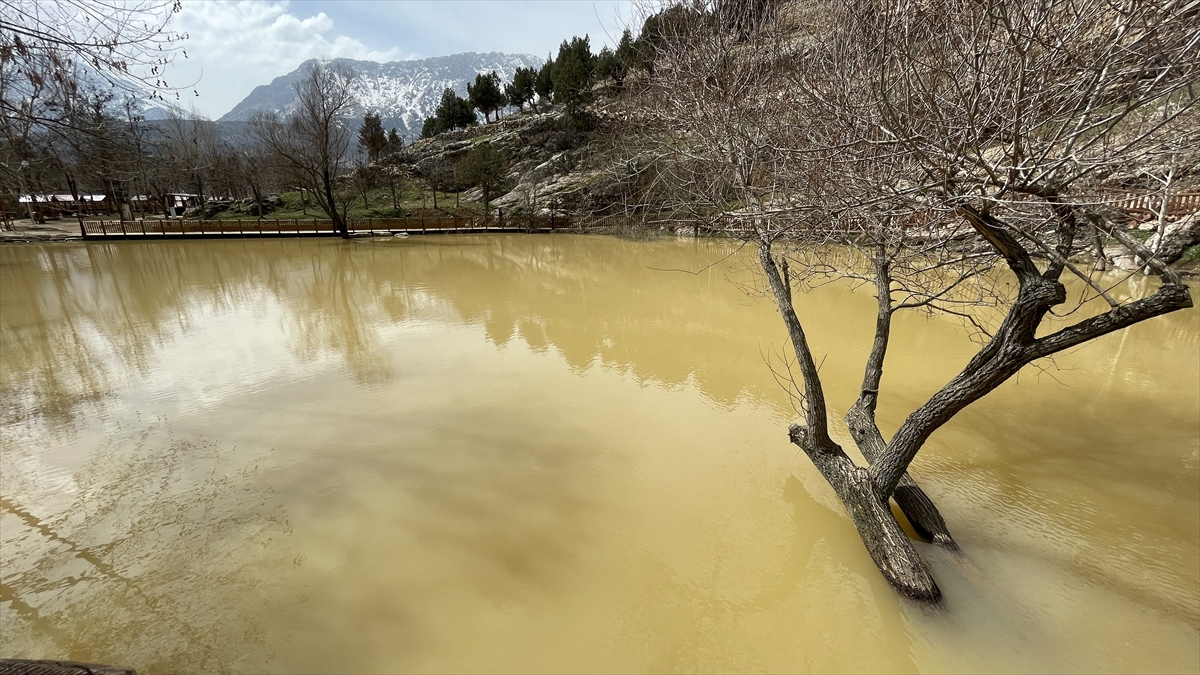 Yeşilgöz Gölü'nün rengi depremlerin ardından değişti 3