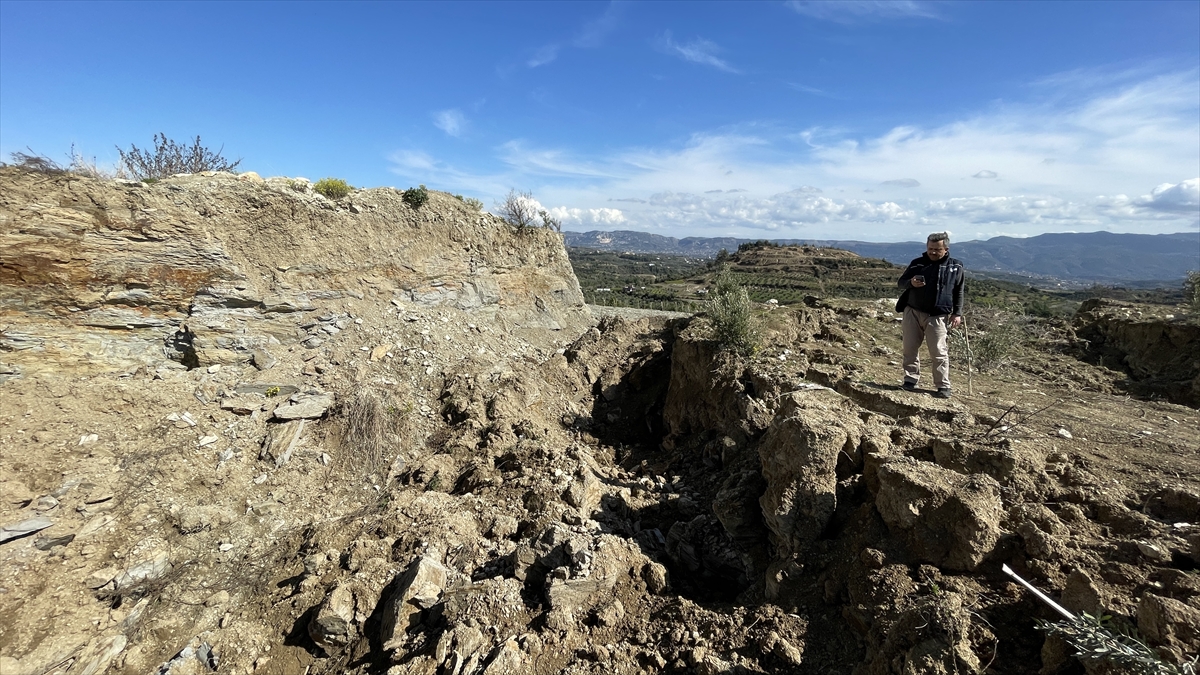 80 yıllık zeytin ağacı depremde ikiye bölündü... Görenler şoke oldu! 5