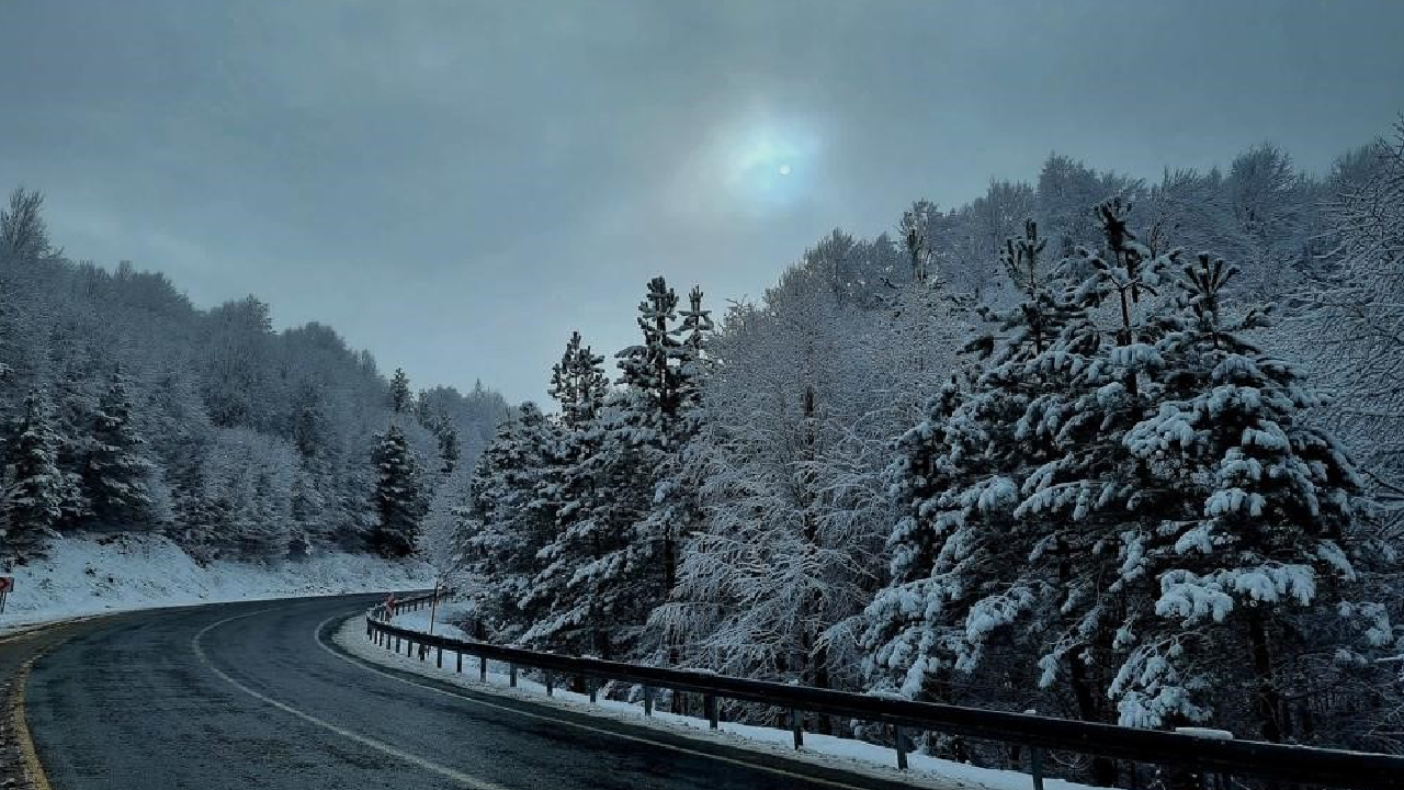 Kütahya'nın Domaniç Dağı'na mart karı 1