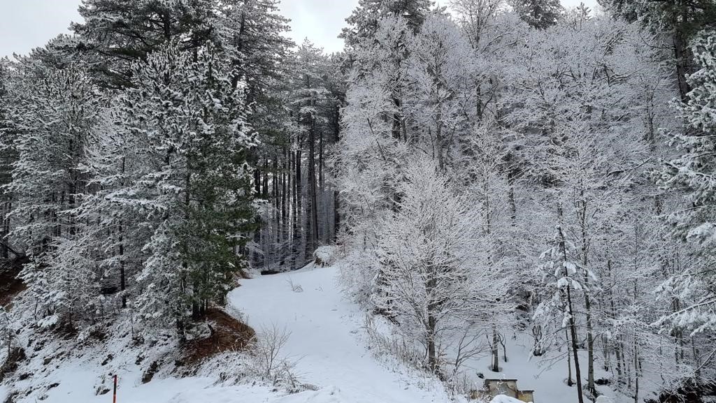 Kütahya'nın Domaniç Dağı'na mart karı 7