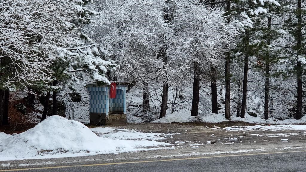 Kütahya'nın Domaniç Dağı'na mart karı 6