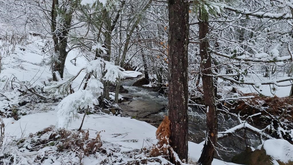 Kütahya'nın Domaniç Dağı'na mart karı 4