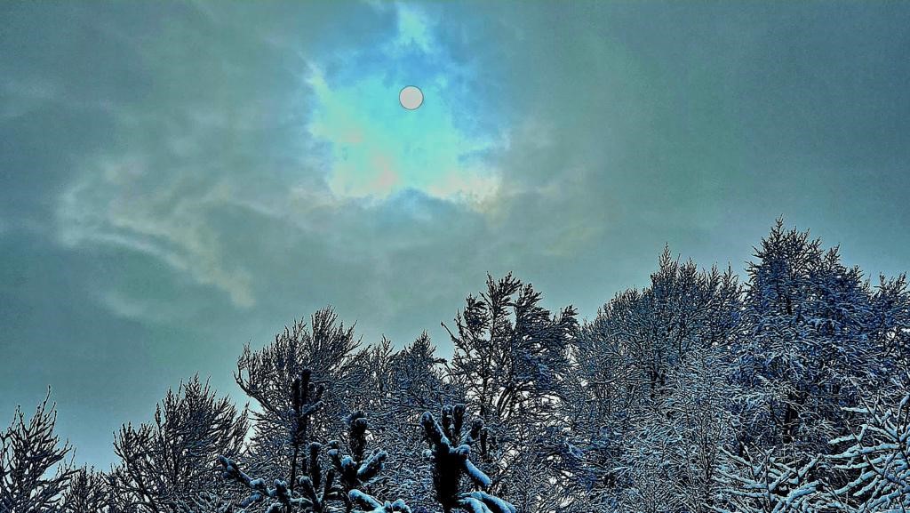 Kütahya'nın Domaniç Dağı'na mart karı 2