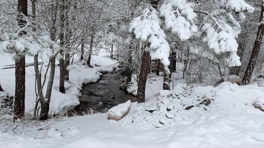 Kütahya'nın Domaniç Dağı'na mart karı 3