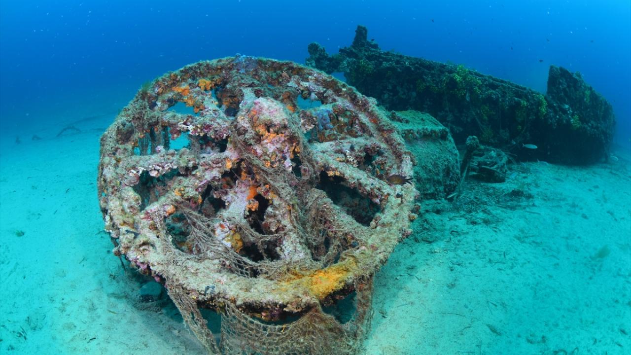 Çanakkale Savaşları'ndan kalma 108 yıllık batık gemiler görüntülendi 13