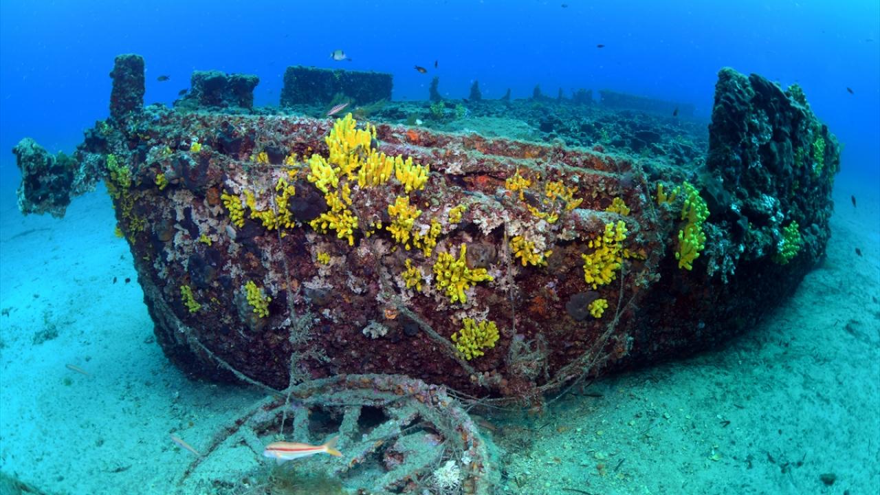 Çanakkale Savaşları'ndan kalma 108 yıllık batık gemiler görüntülendi 14