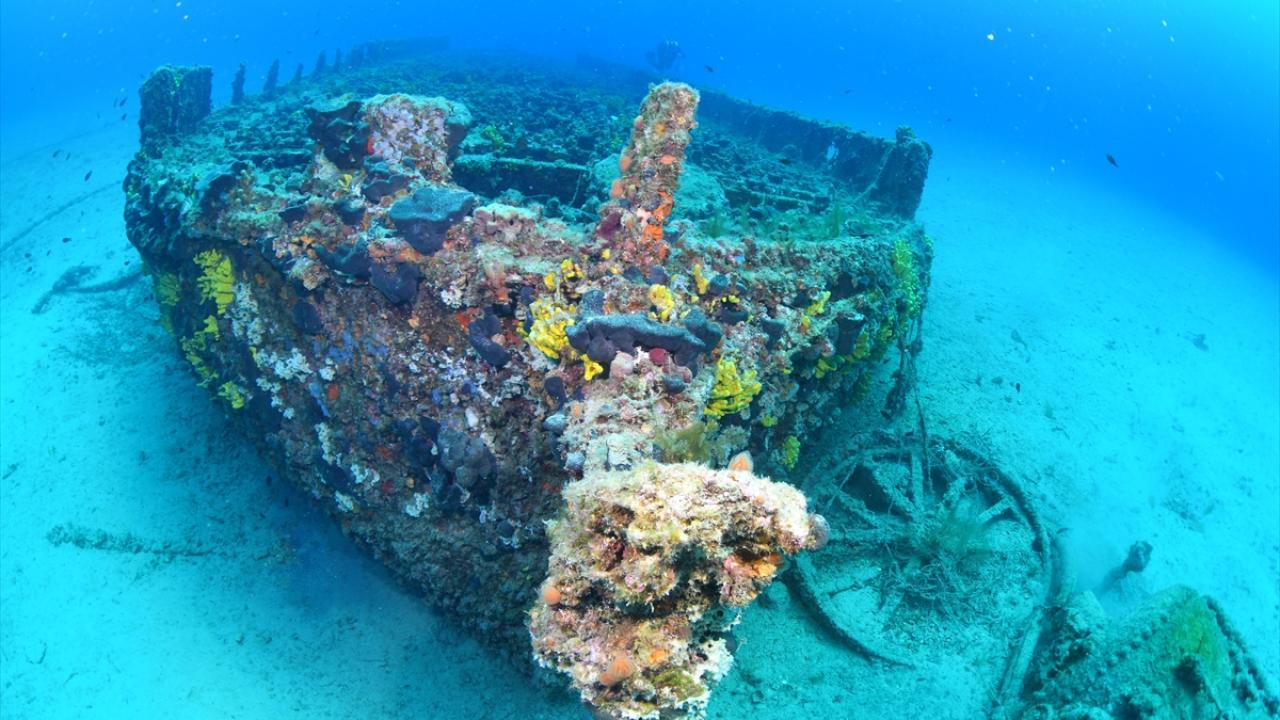 Çanakkale Savaşları'ndan kalma 108 yıllık batık gemiler görüntülendi 6