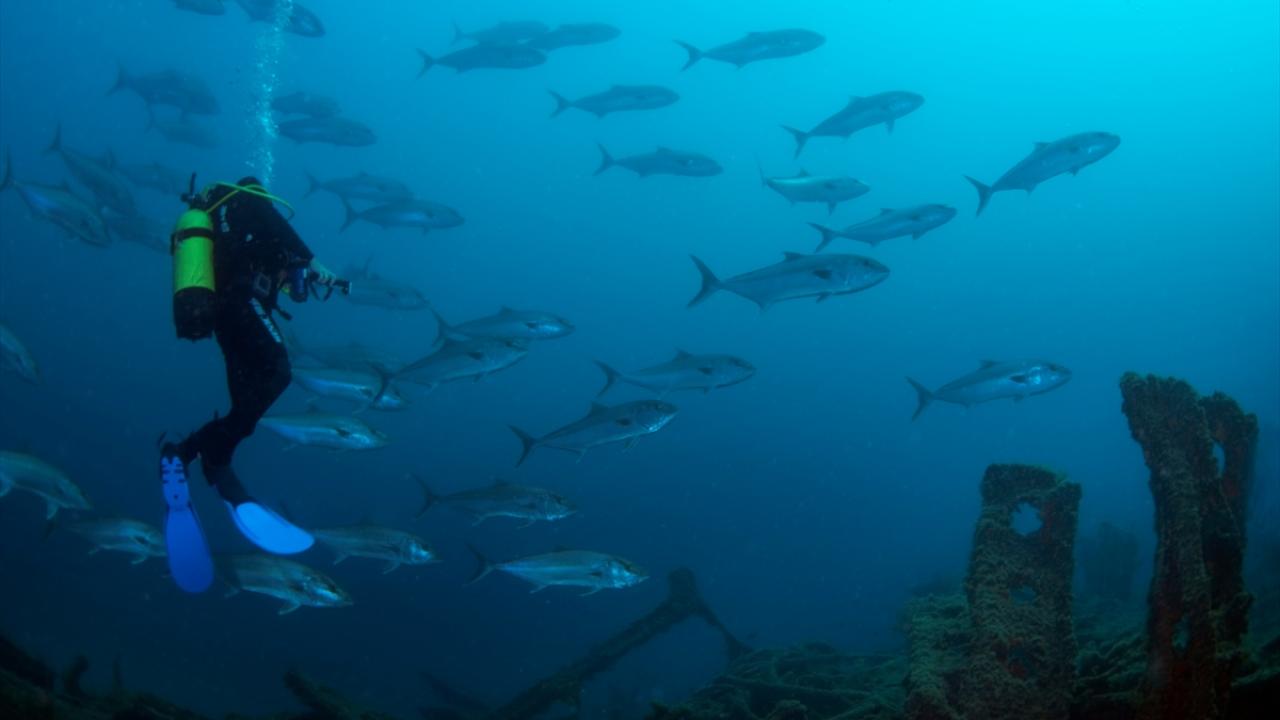 Çanakkale Savaşları'ndan kalma 108 yıllık batık gemiler görüntülendi 2