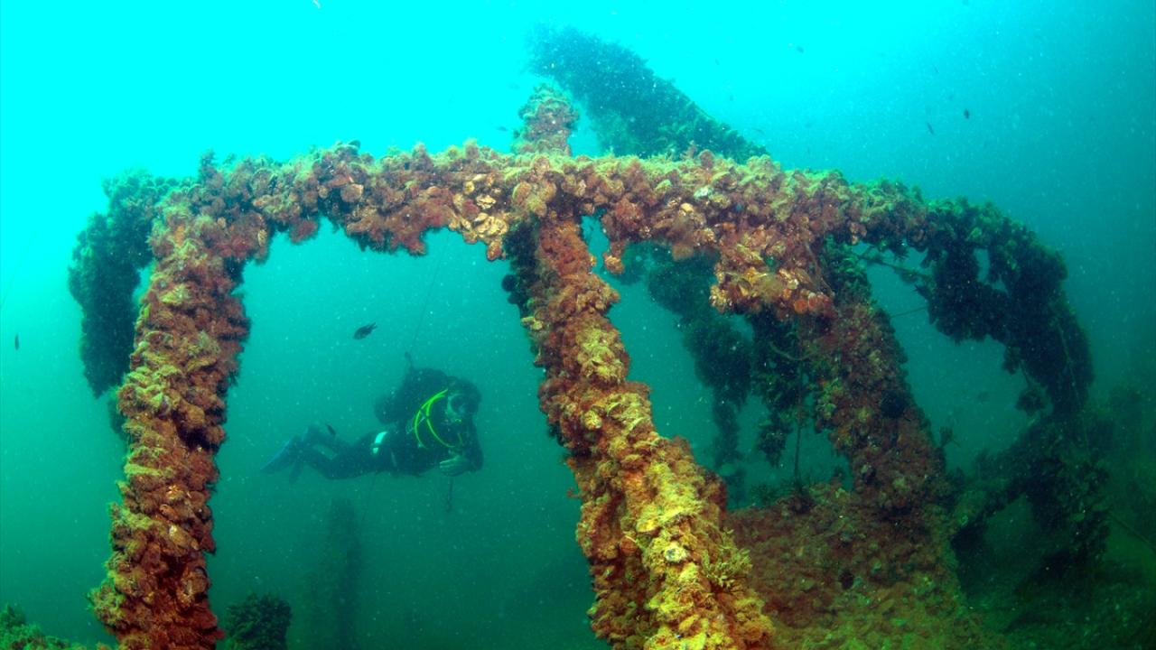 Çanakkale Savaşları'ndan kalma 108 yıllık batık gemiler görüntülendi 5
