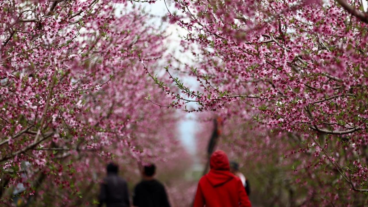 Burası depremin vurduğu Amik Ovası... 10