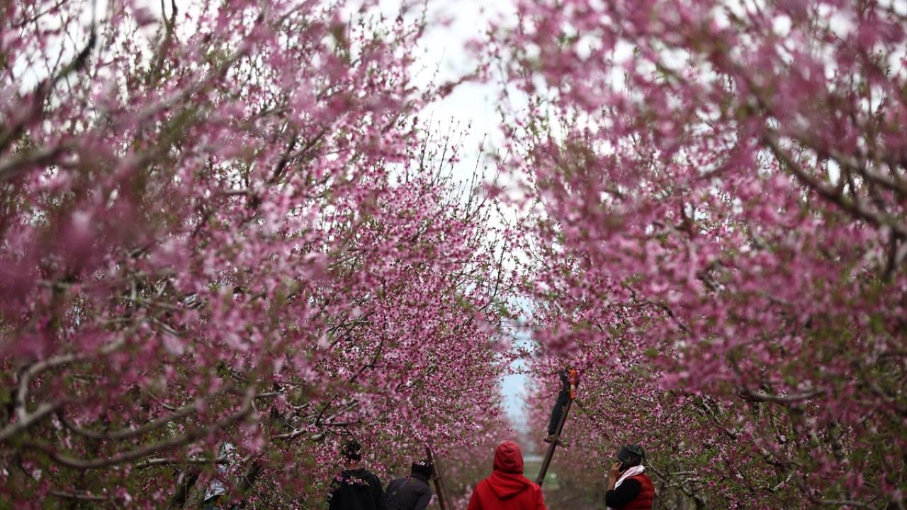 Burası depremin vurduğu Amik Ovası... 8