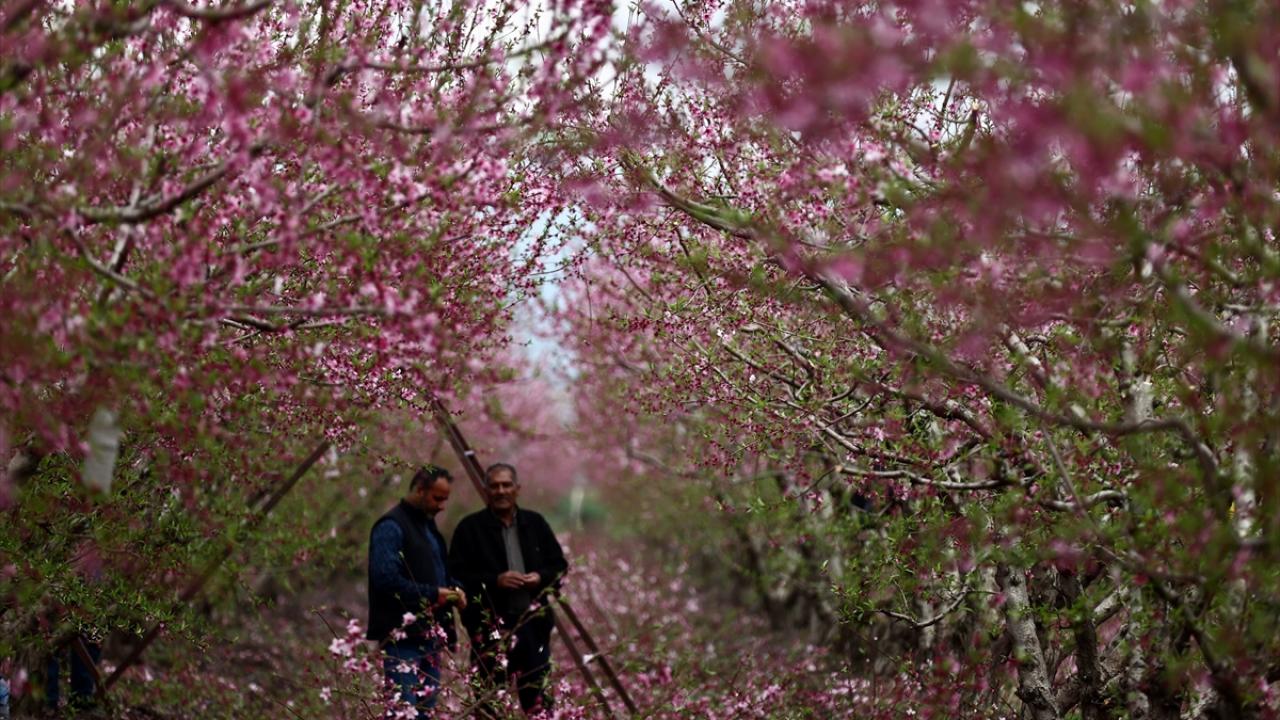 Burası depremin vurduğu Amik Ovası... 4