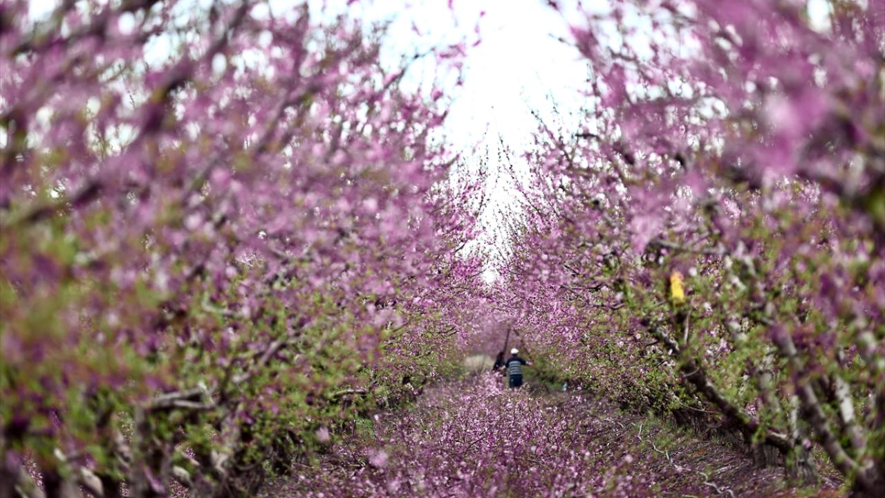 Burası depremin vurduğu Amik Ovası... 7