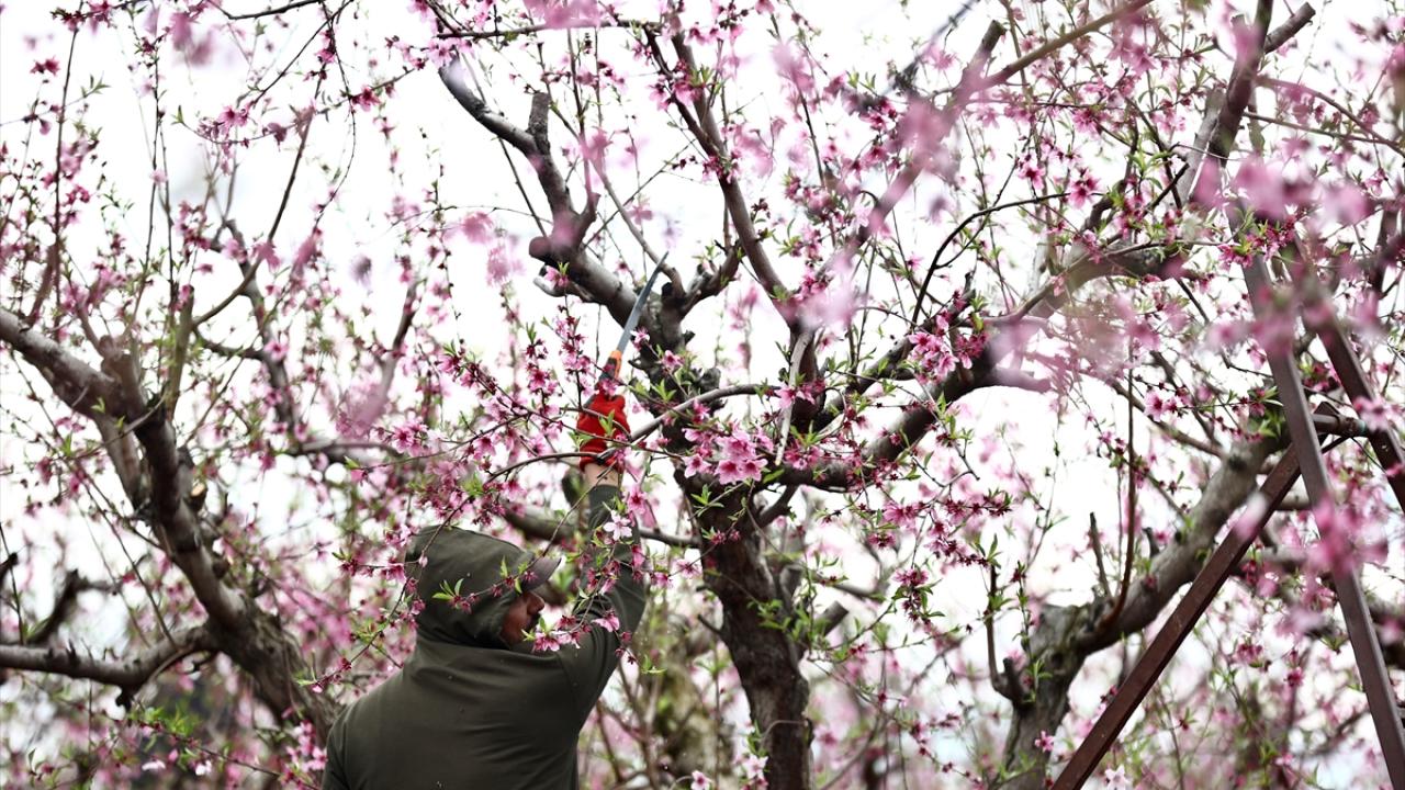 Burası depremin vurduğu Amik Ovası... 15