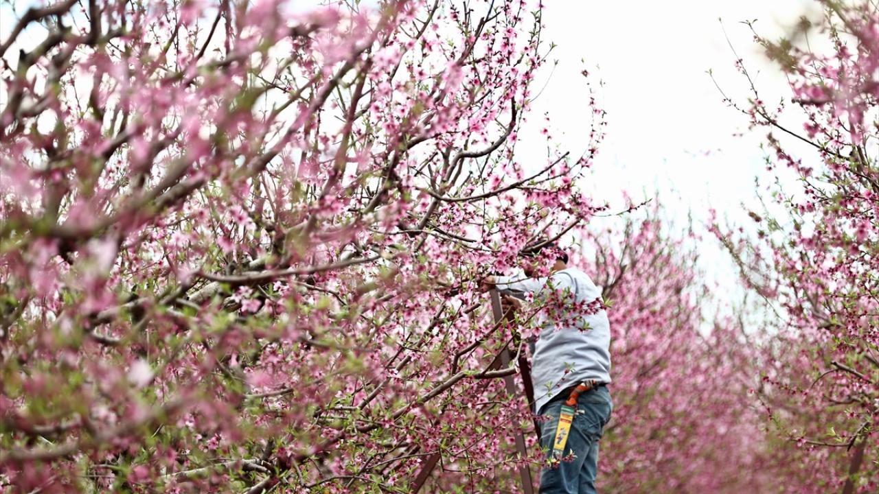 Burası depremin vurduğu Amik Ovası... 6
