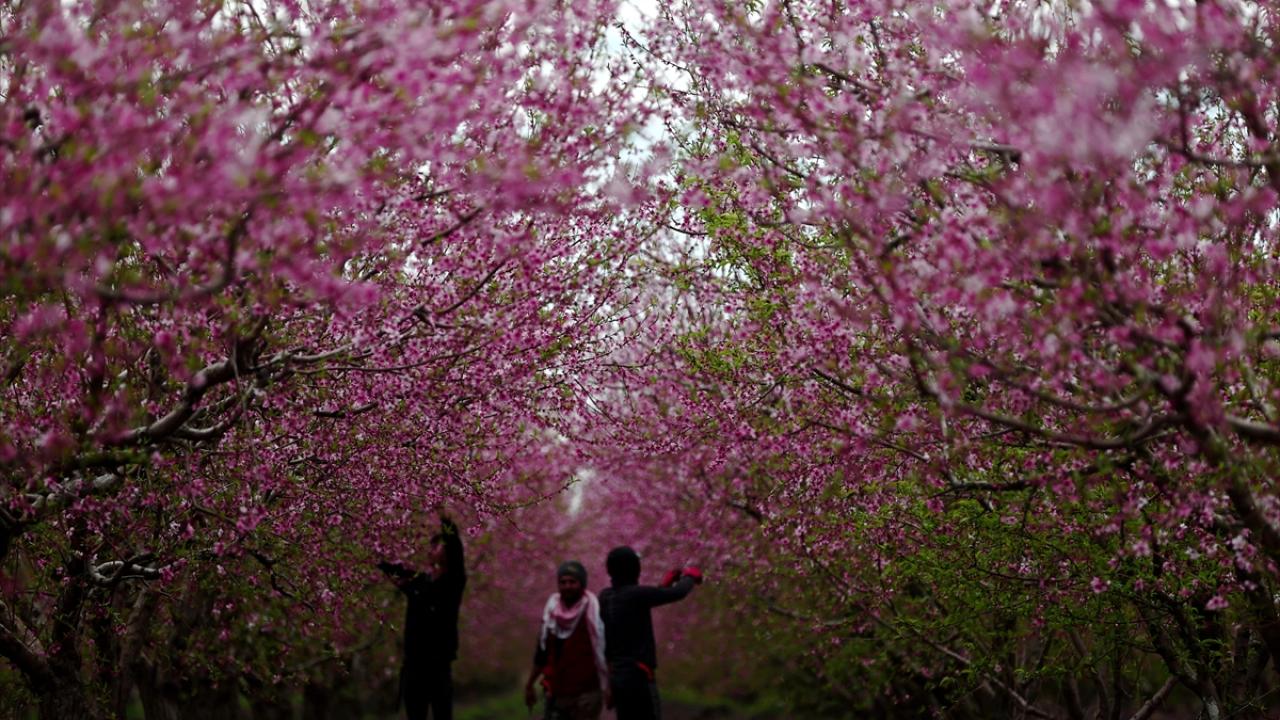 Burası depremin vurduğu Amik Ovası... 3